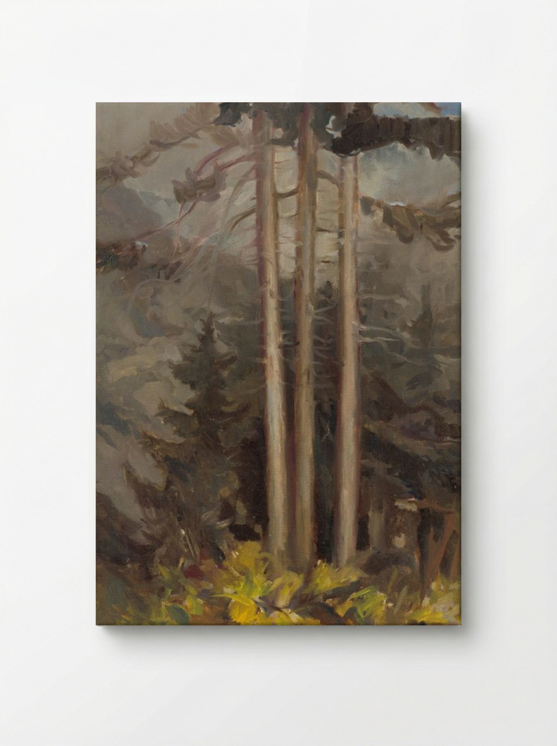 Spruce - Zolo Palugyay - Canvas