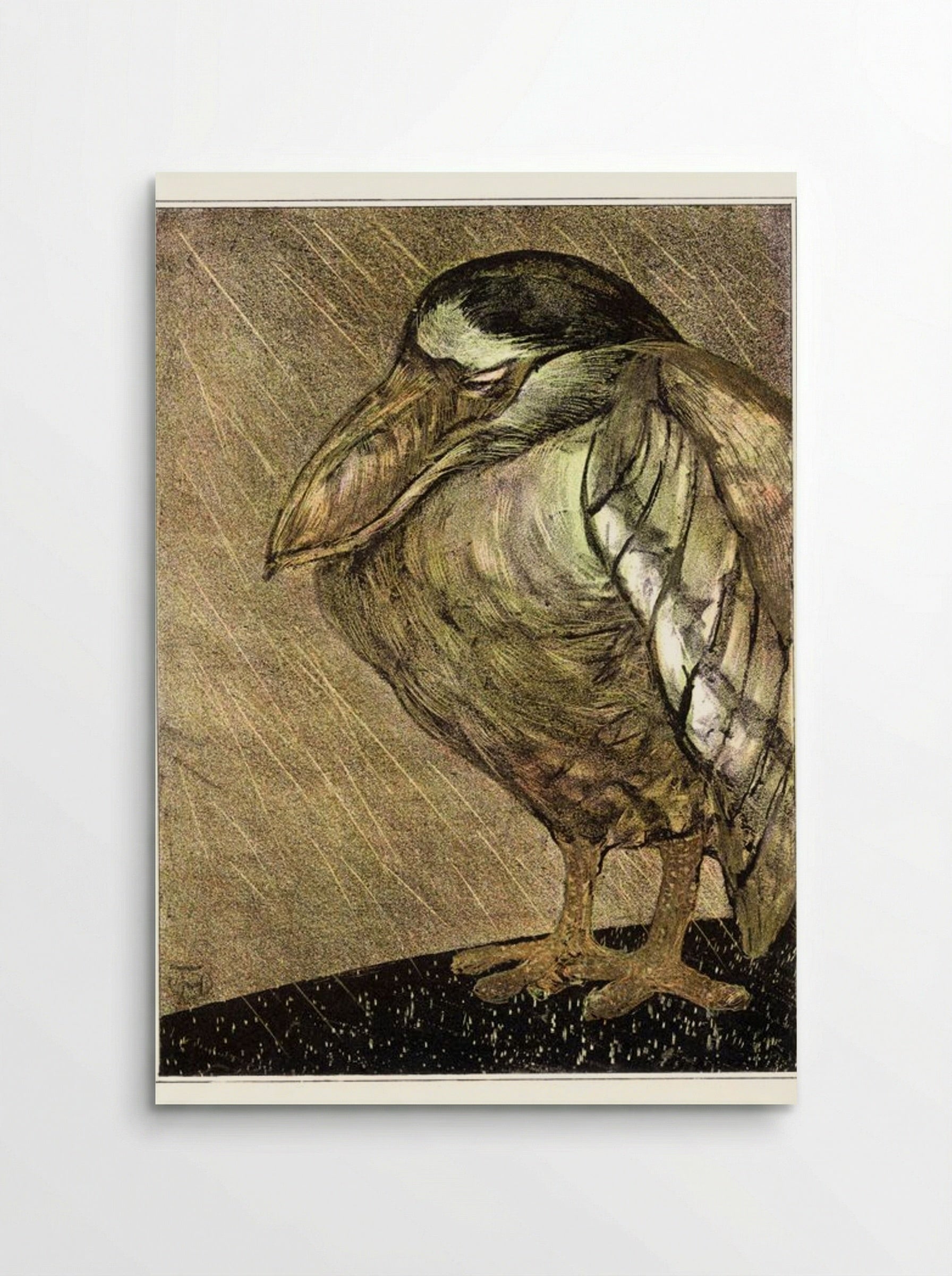 Schuitbekreiger in de regen (Night Heron in the Rain) - Theodorus van Hoytema - Poster