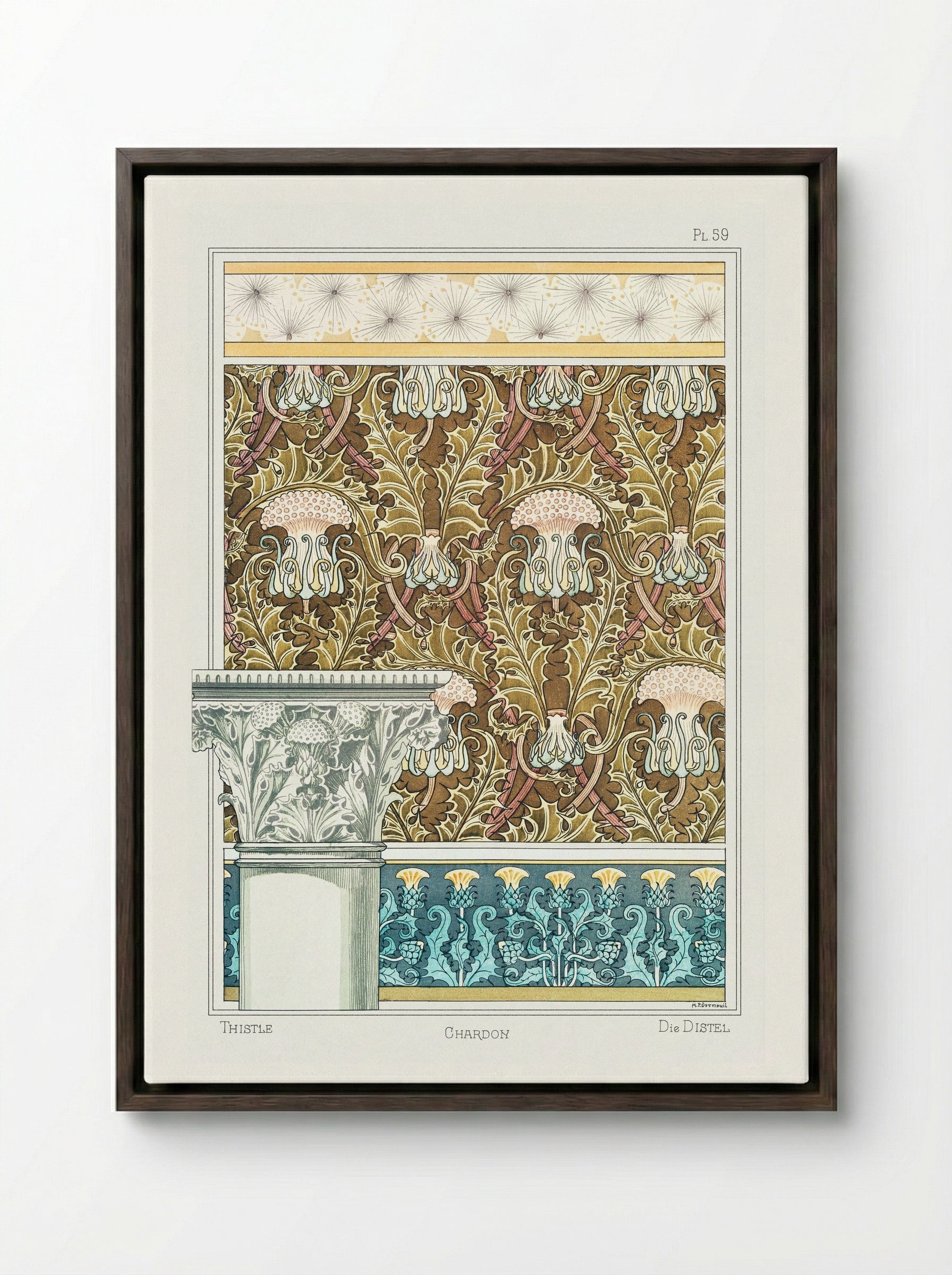 Chardon (Thistle) from La Plante et ses Applications ornementales - Maurice Pillard Verneuil - Framed Canvas Dark Wood