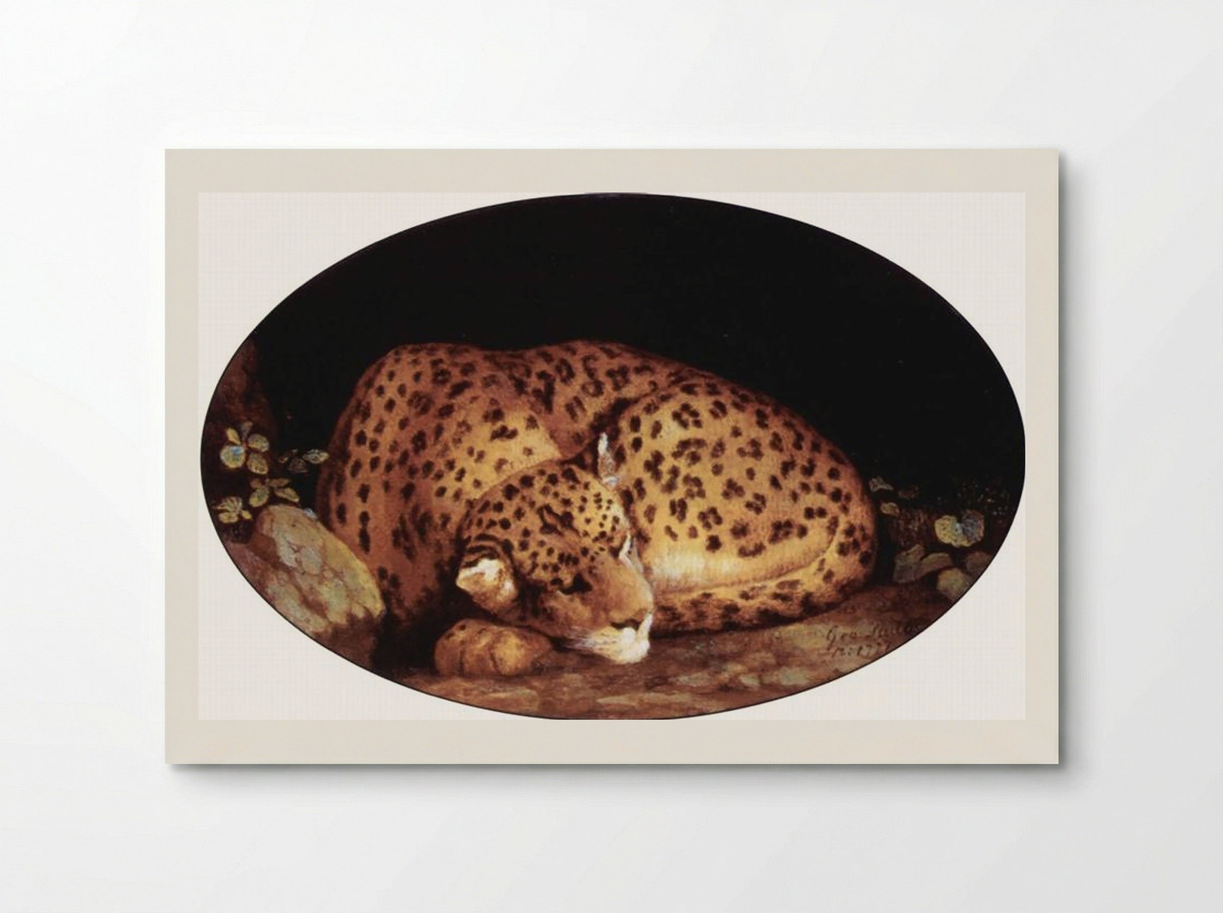 Sleeping Leopard - George Stubbs - Poster