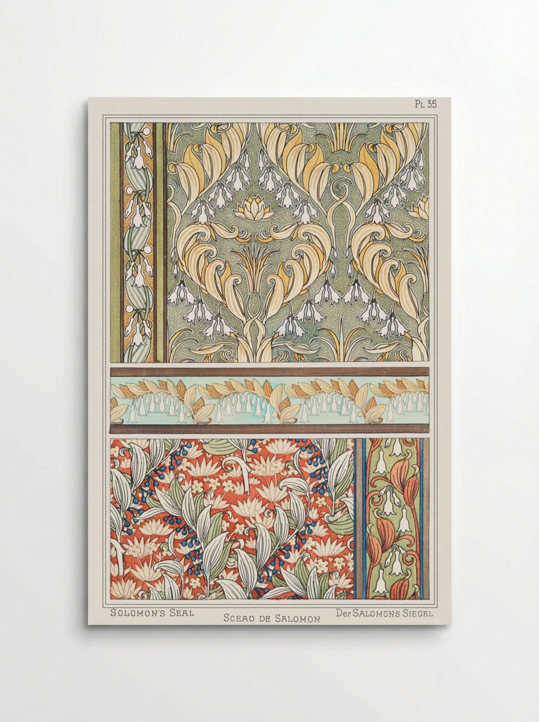 Sceau de Salomon (Solomon's Seal) from La Plante et ses Applications ornementales - Maurice Pillard Verneuil - Poster