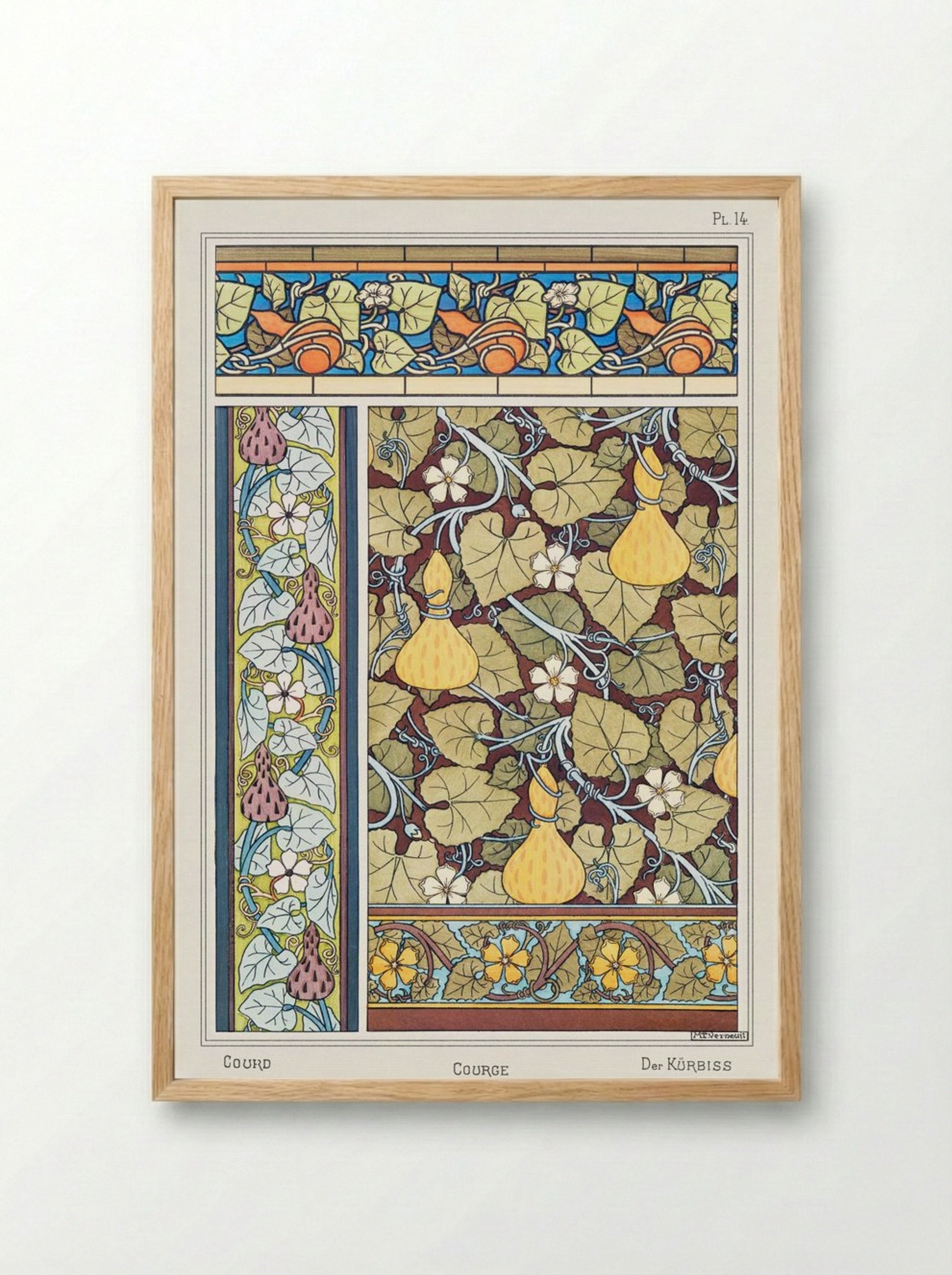 Courge (White-Flowered Gourd, from La Plante et ses Applications ornementales) - Maurice Pillard Verneuil - Framed Print Wood