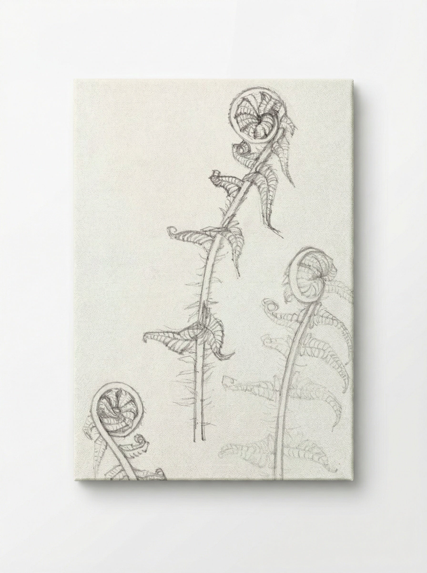 Sketches of Fronds - Julie de Graag - Canvas