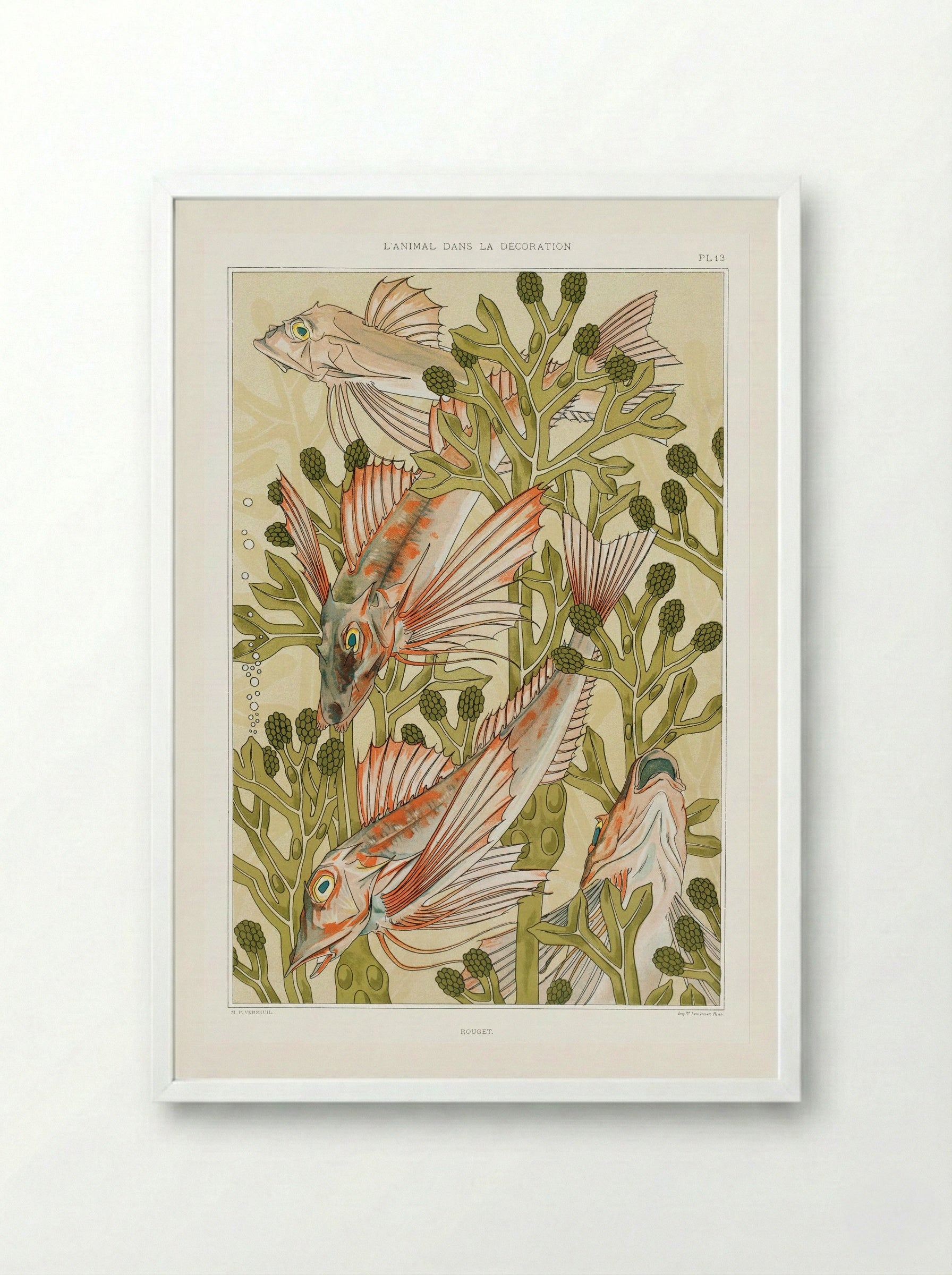 Rouget (From L'animal dans la décoration) - Maurice Pillard Verneuil - Framed Print White