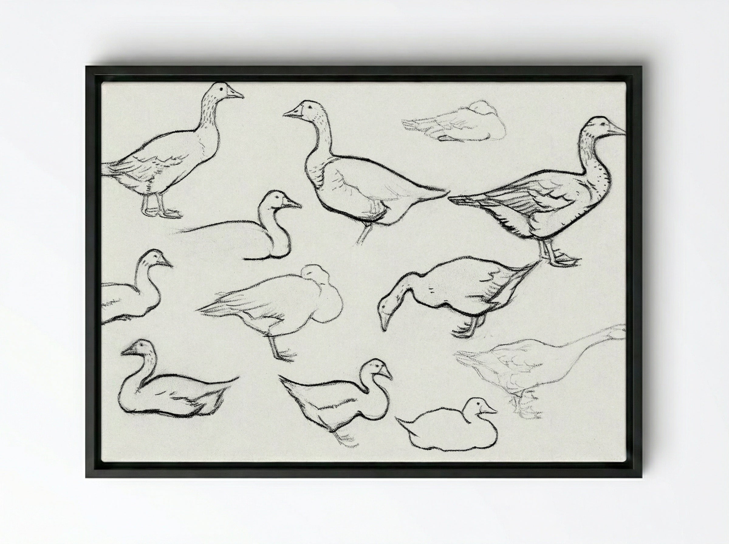 Study of Geese - Julie de Graag - Framed Canvas Black
