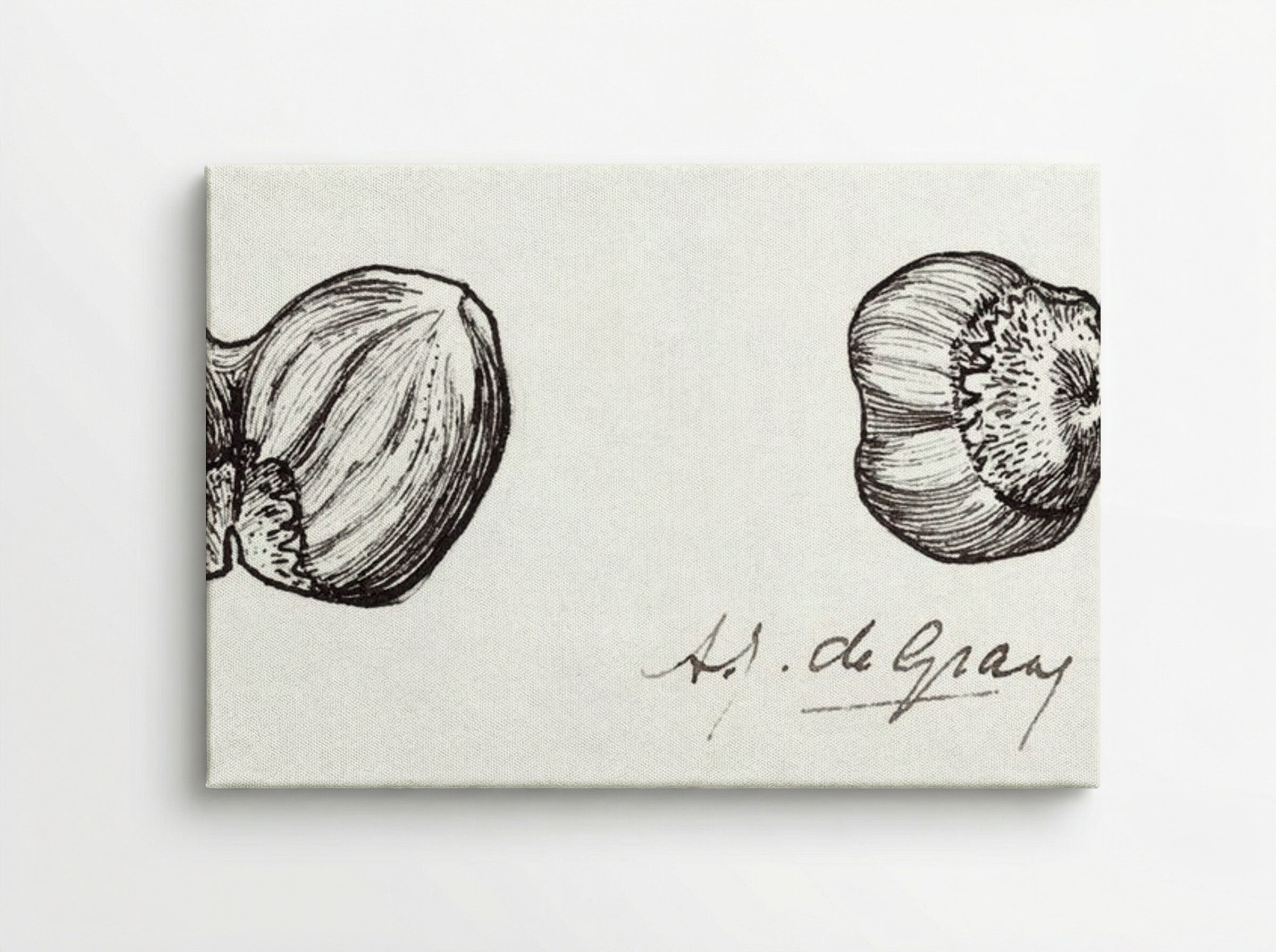 Study of Two Hazelnuts - Julie de Graag - Canvas