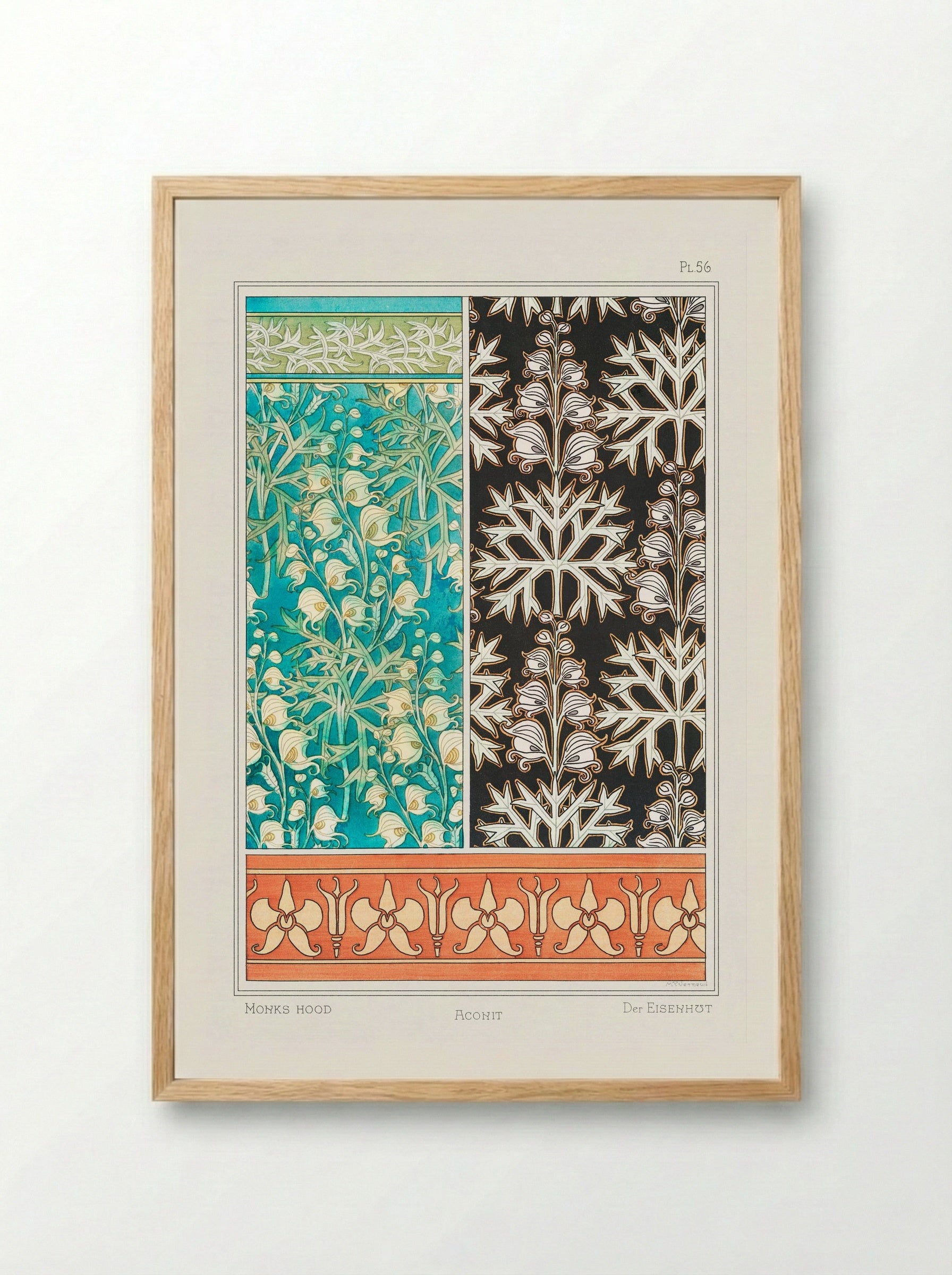 Aconite (Monkshood) from La Plante et ses Applications ornementales - Maurice Pillard Verneuil - Framed Print Wood