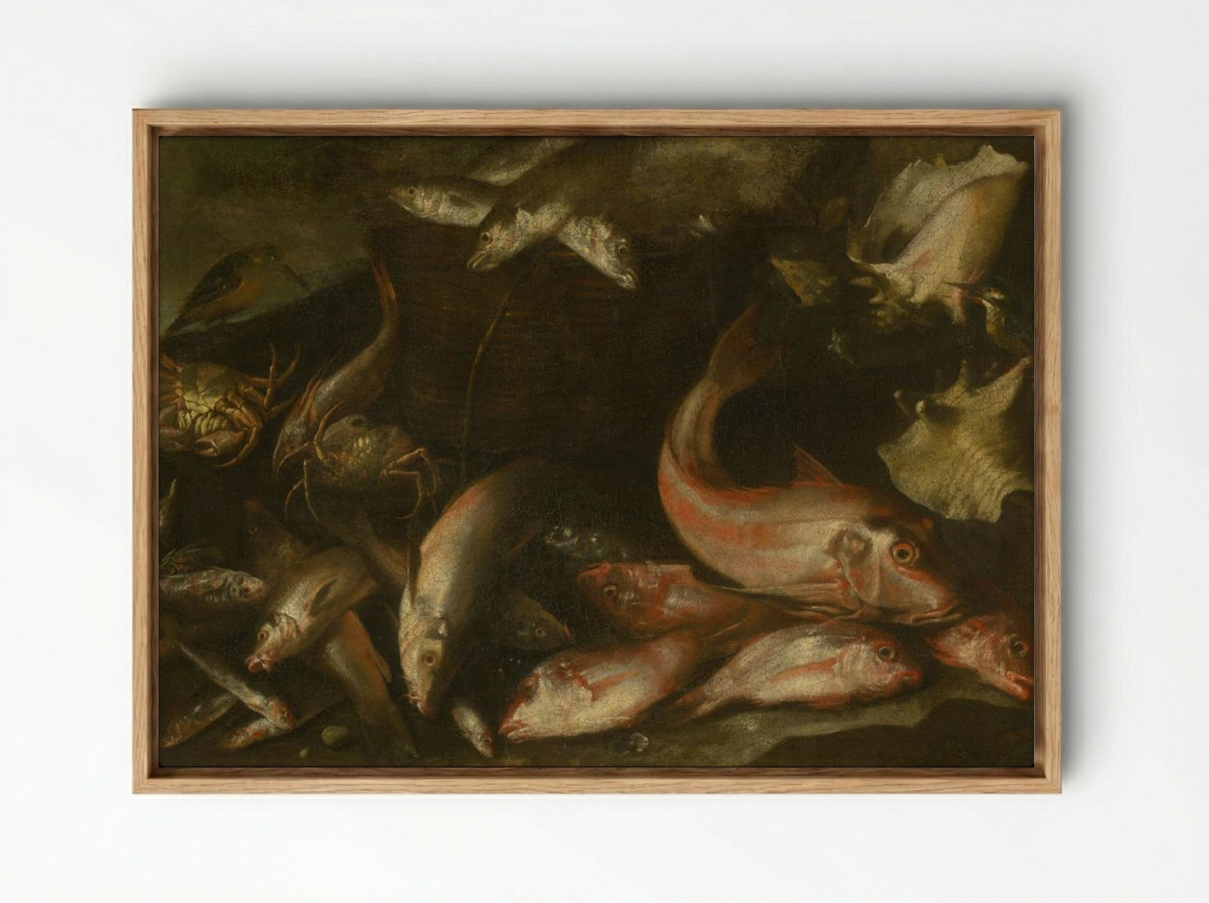 Still Life with Fish, Crabs, and Shells - Fine Art Print - Framed Canvas Wood