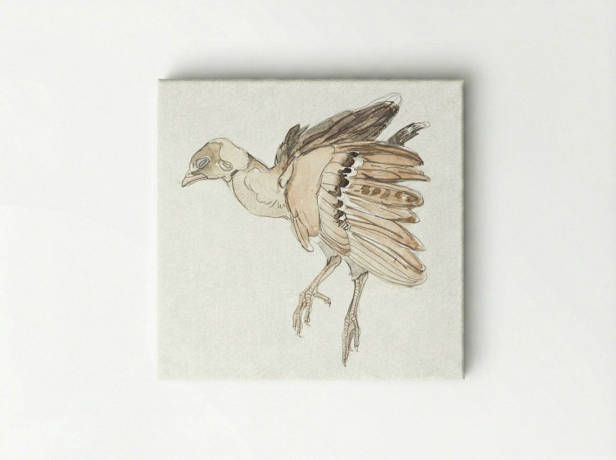 Dood vogeltje (Patrijs) - Theo van Hoytema - Canvas