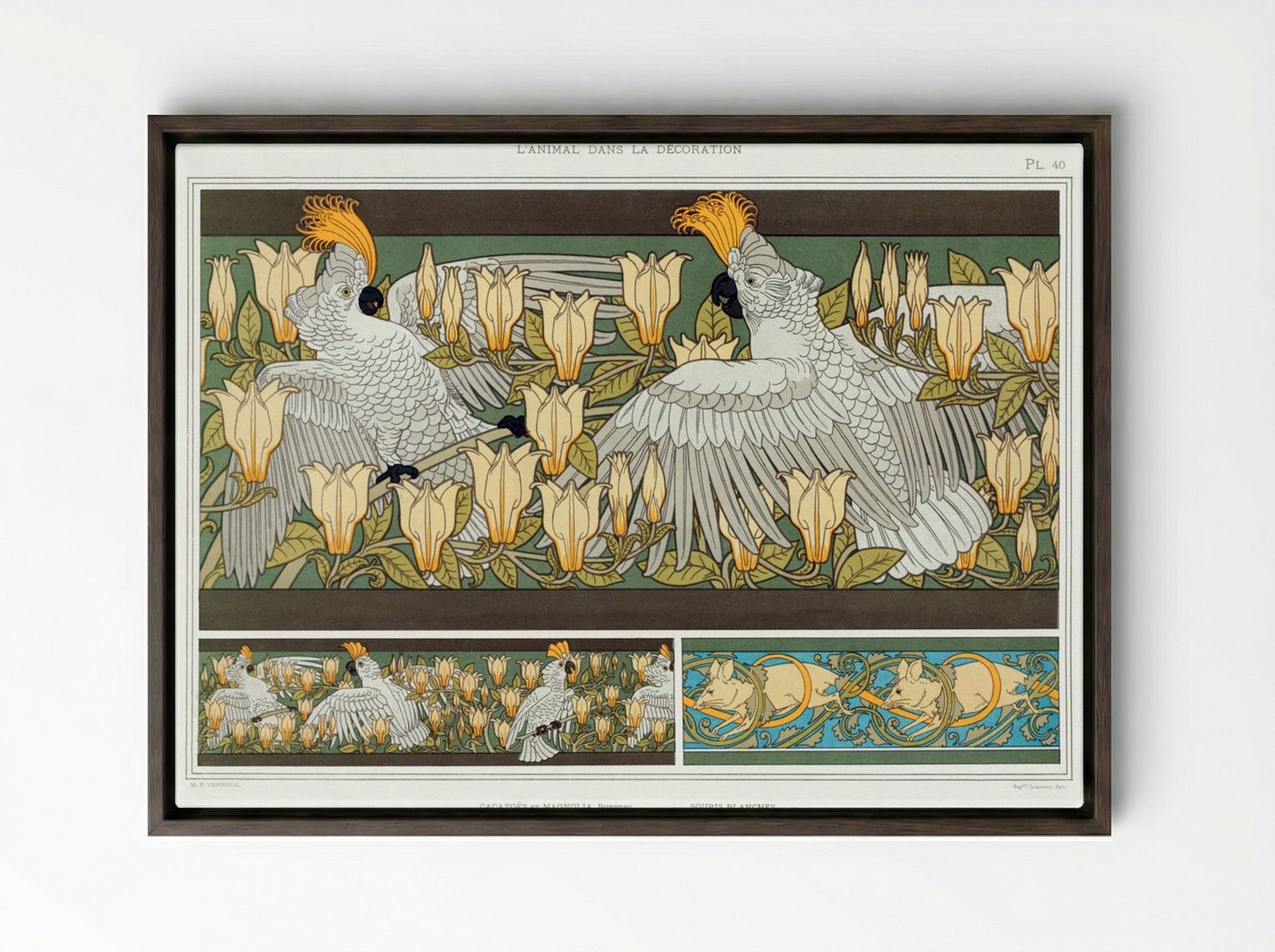 Cacatoès et Magnolia, Bordure; Souris Blanches - Maurice Pillard Verneuil - Framed Canvas Dark Wood