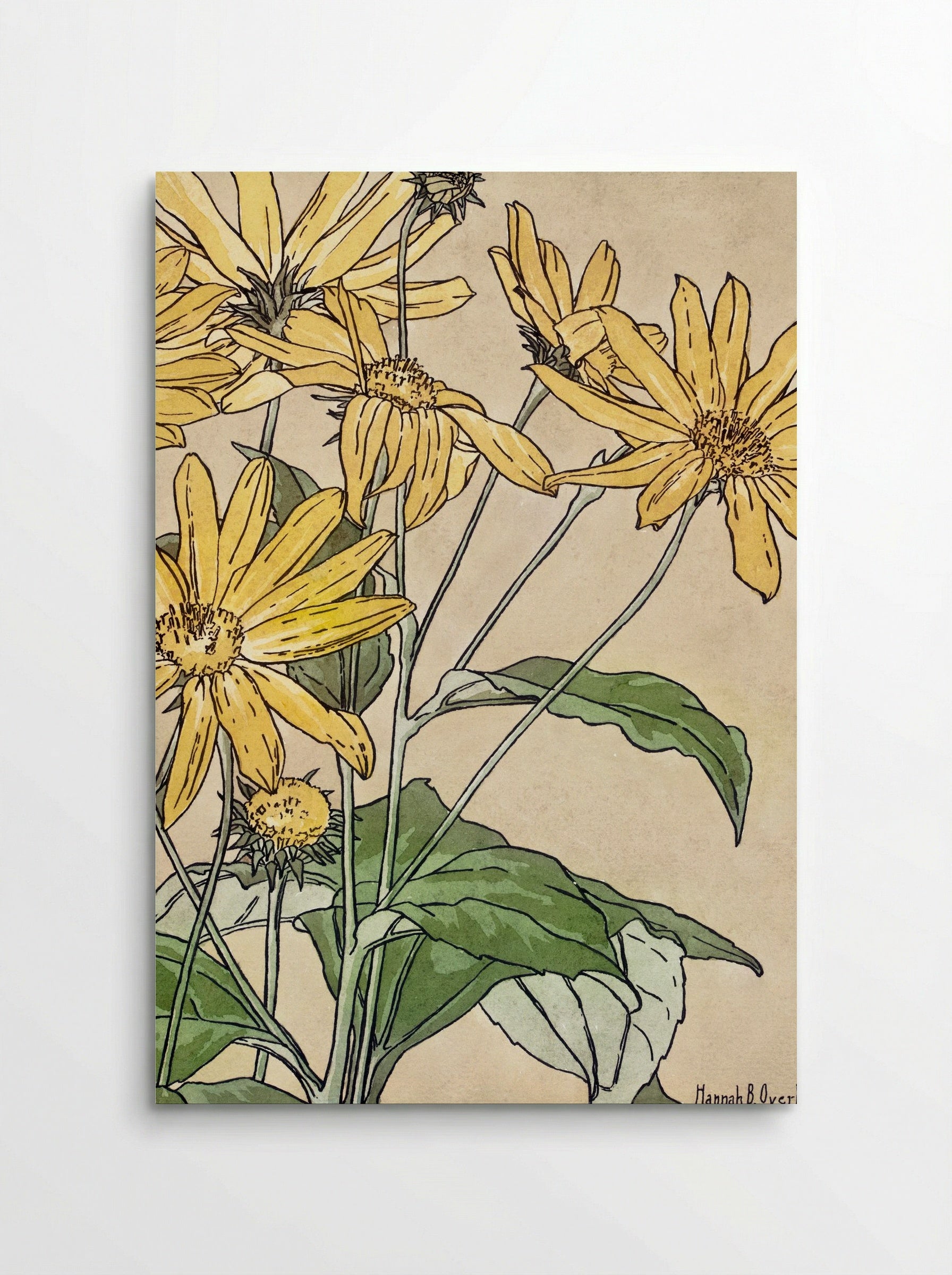 Sunflowers (1915) - Hannah Borger Overbeck - Poster