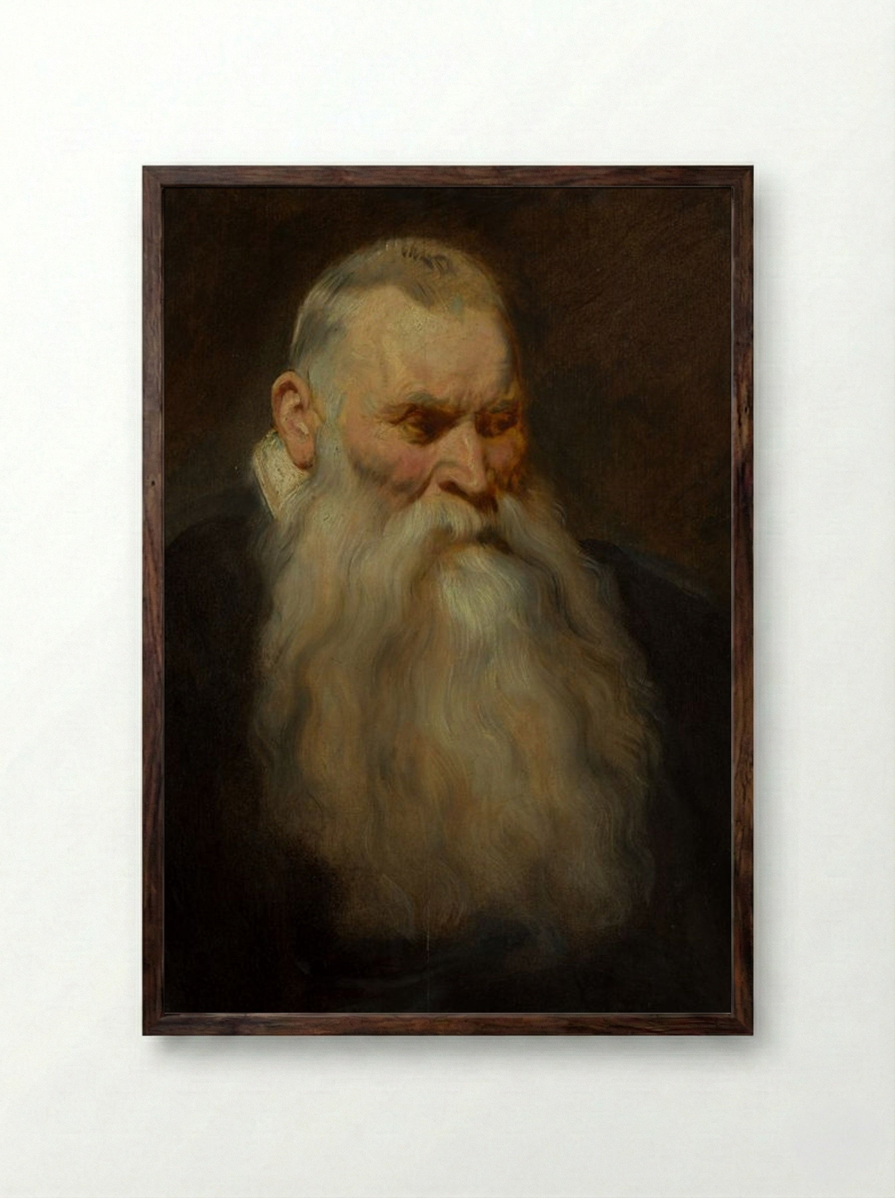 Study: Head of an Old Man with a White Beard - Anthony van Dyck - Framed Print Dark Wood