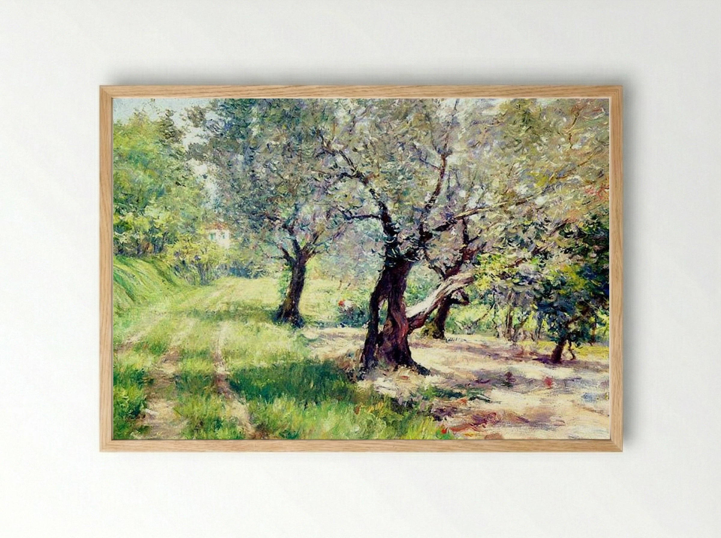 The Olive Grove - William Merritt Chase - Framed Print Wood