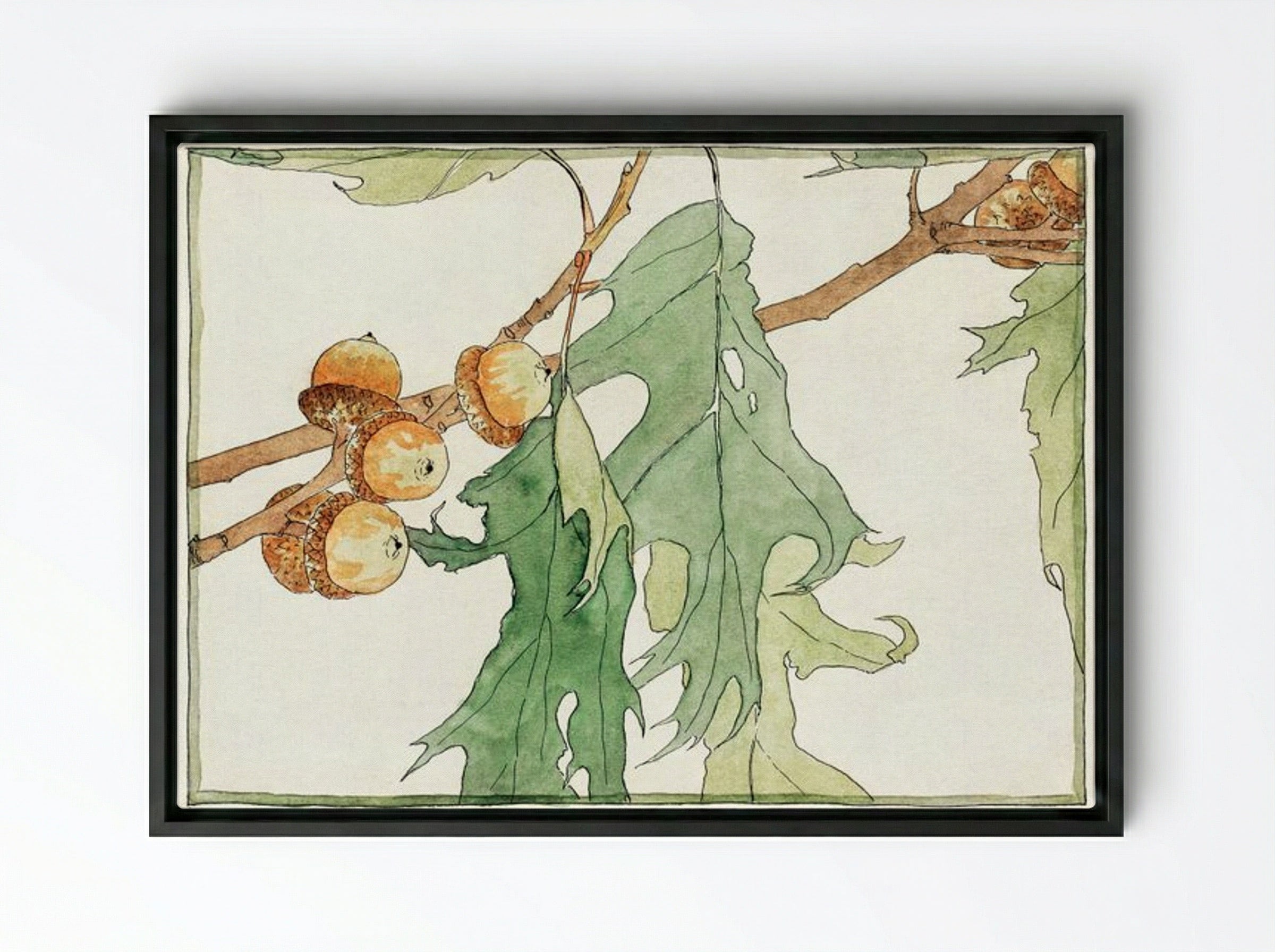 Oak Acorns - Hannah Borger Overbeck - Framed Canvas Black