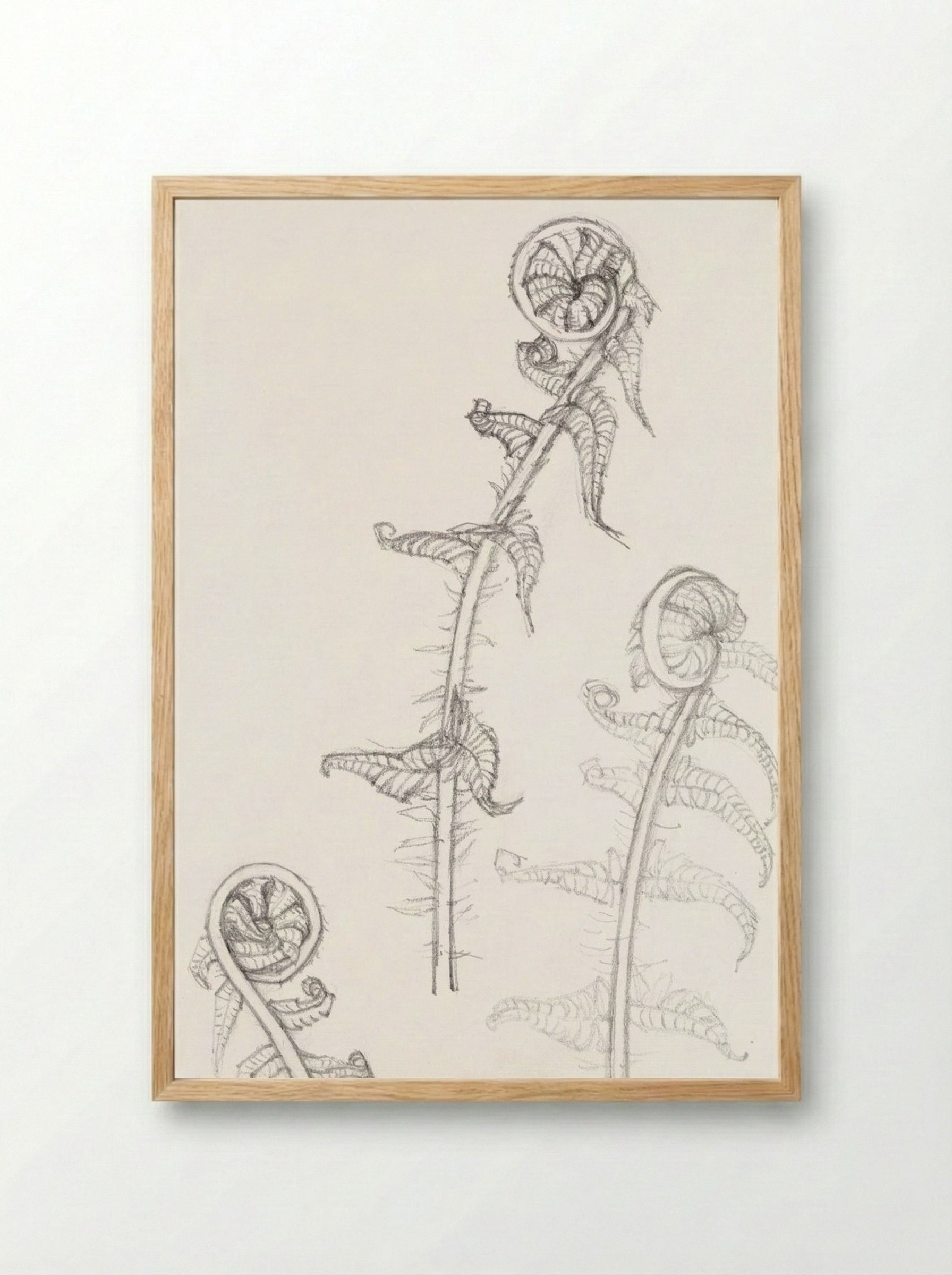 Sketches of Fronds - Julie de Graag - Framed Print Wood