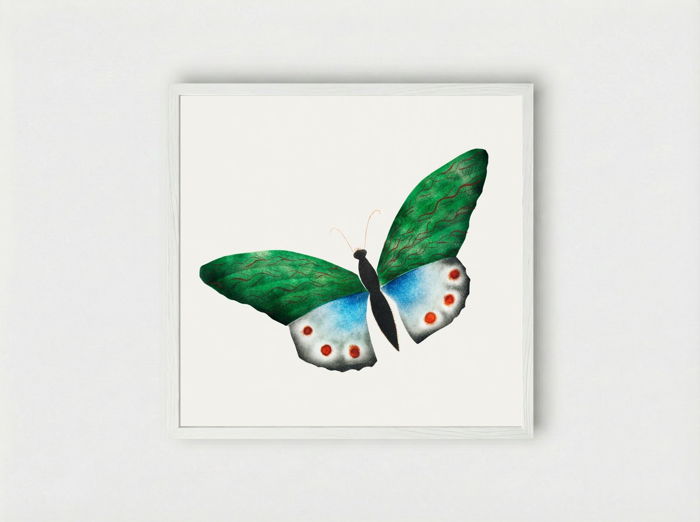 Butterfly - Mary Altha Nims - Framed Print White
