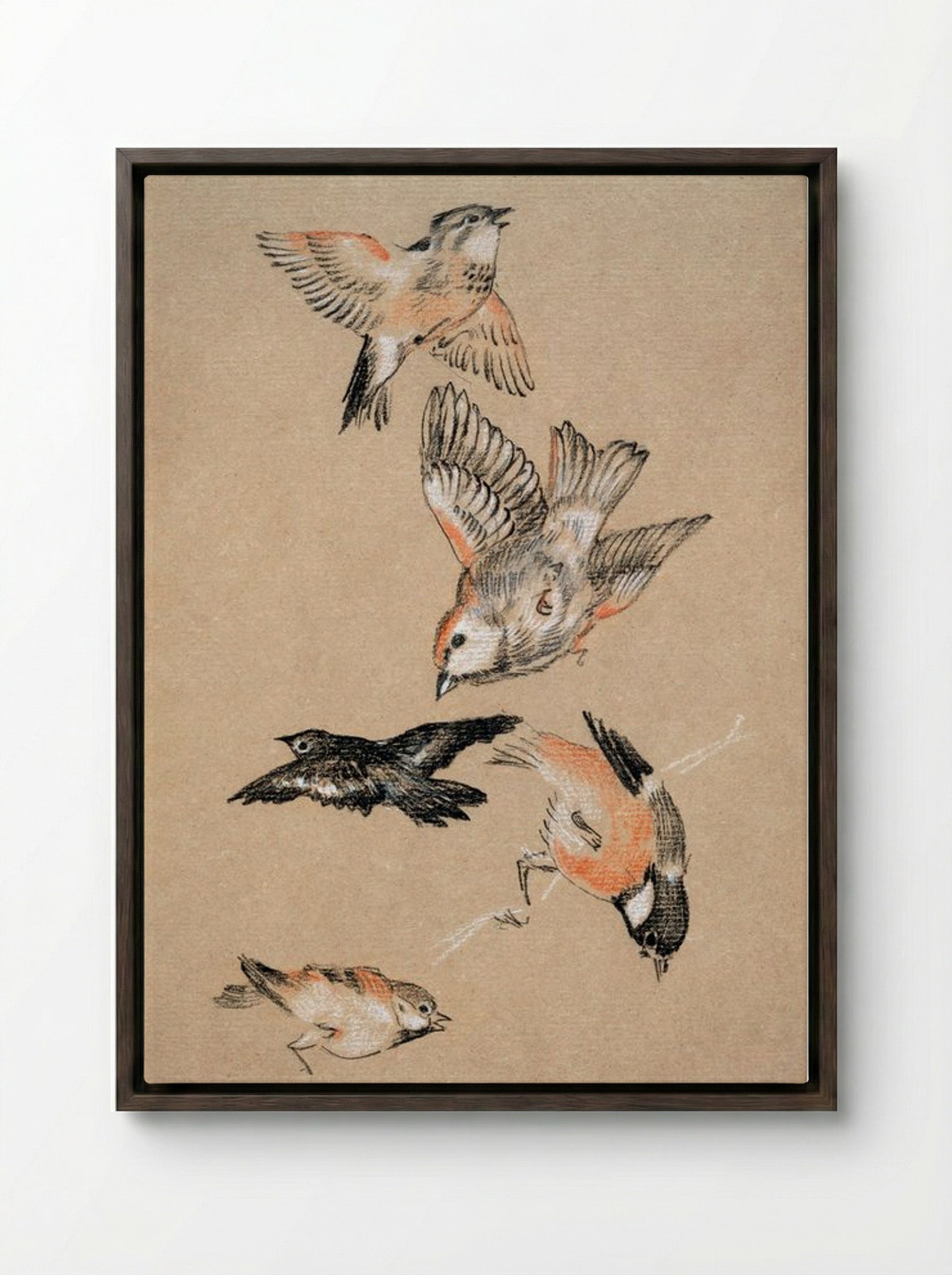 Study of Finches (for 'Love Leading the Pilgrim') - Edward Burne-Jones - Framed Canvas Dark Wood