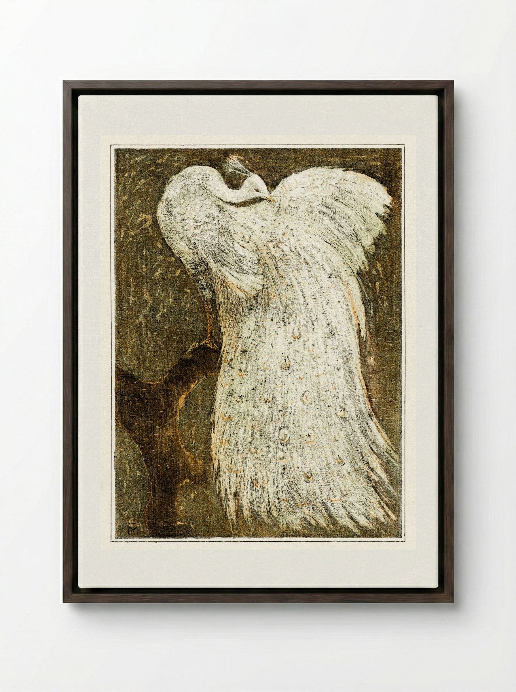 White Peacock on a Branch - Theo van Hoytema - Framed Canvas Dark Wood