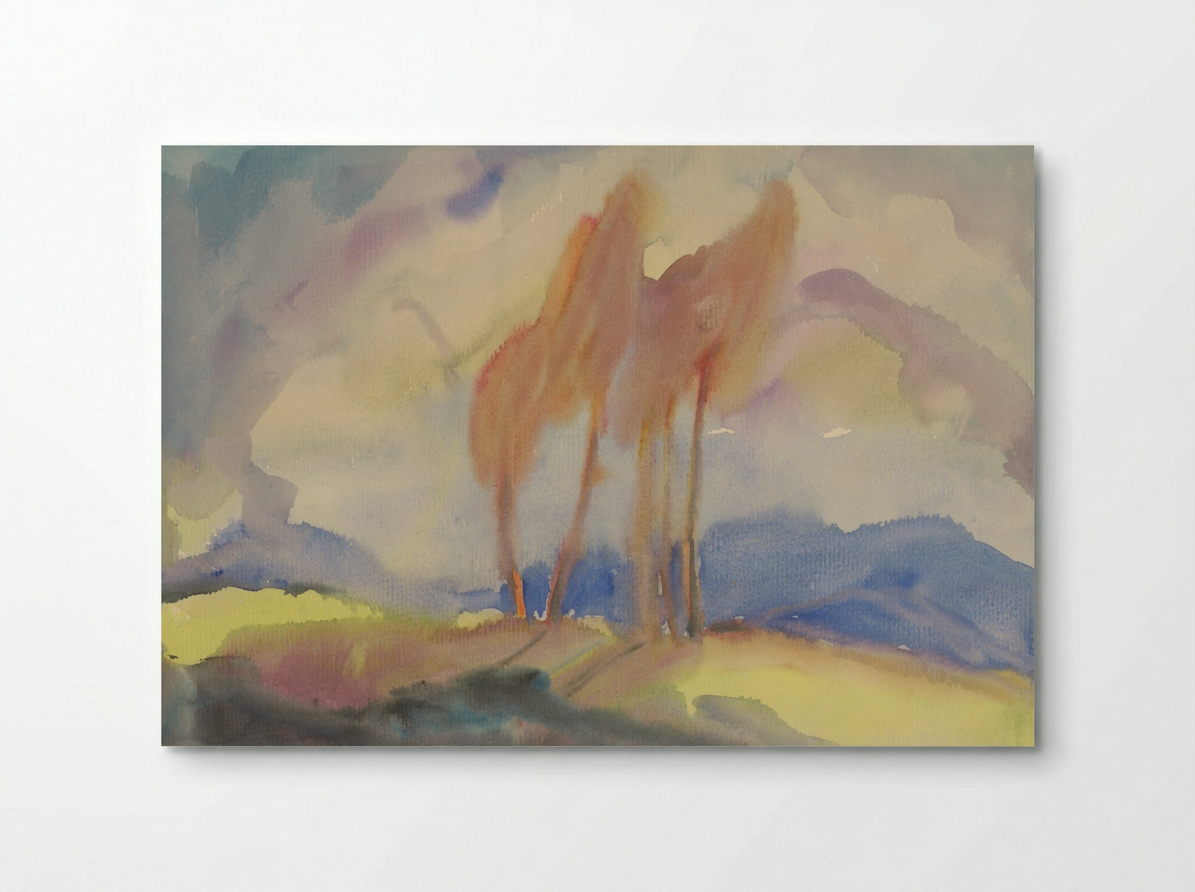 Autumn Birch Trees in a Sunlit Meadow - Zolo Palugyay - Poster