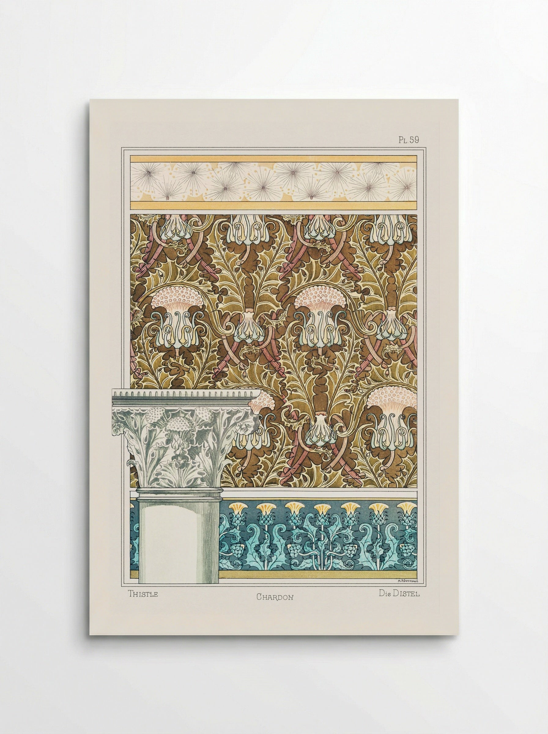 Chardon (Thistle) from La Plante et ses Applications ornementales - Maurice Pillard Verneuil - Poster