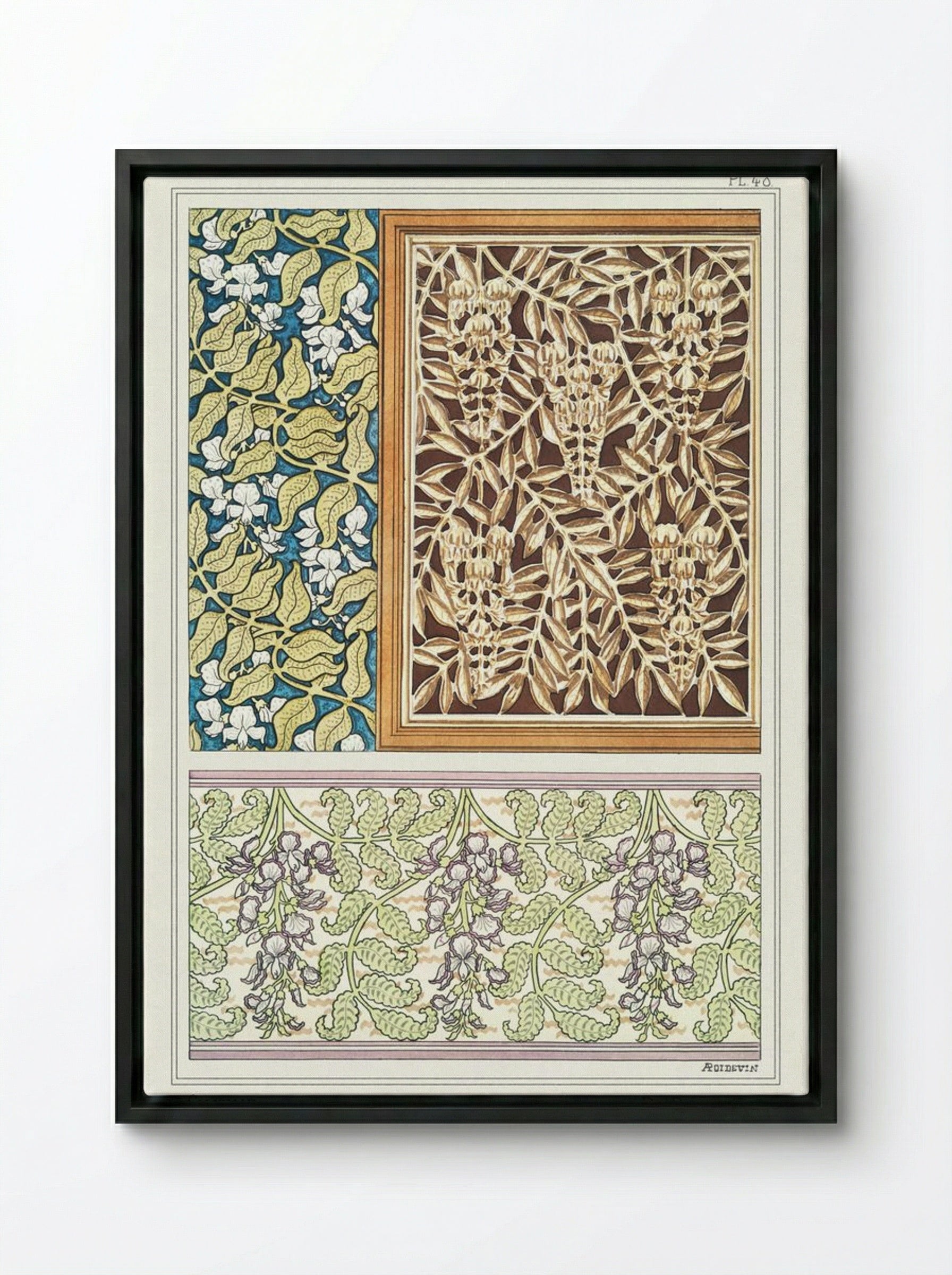 Glycine (Wisteria) from La Plante et ses Applications ornementales - Maurice Pillard Verneuil - Framed Canvas Black