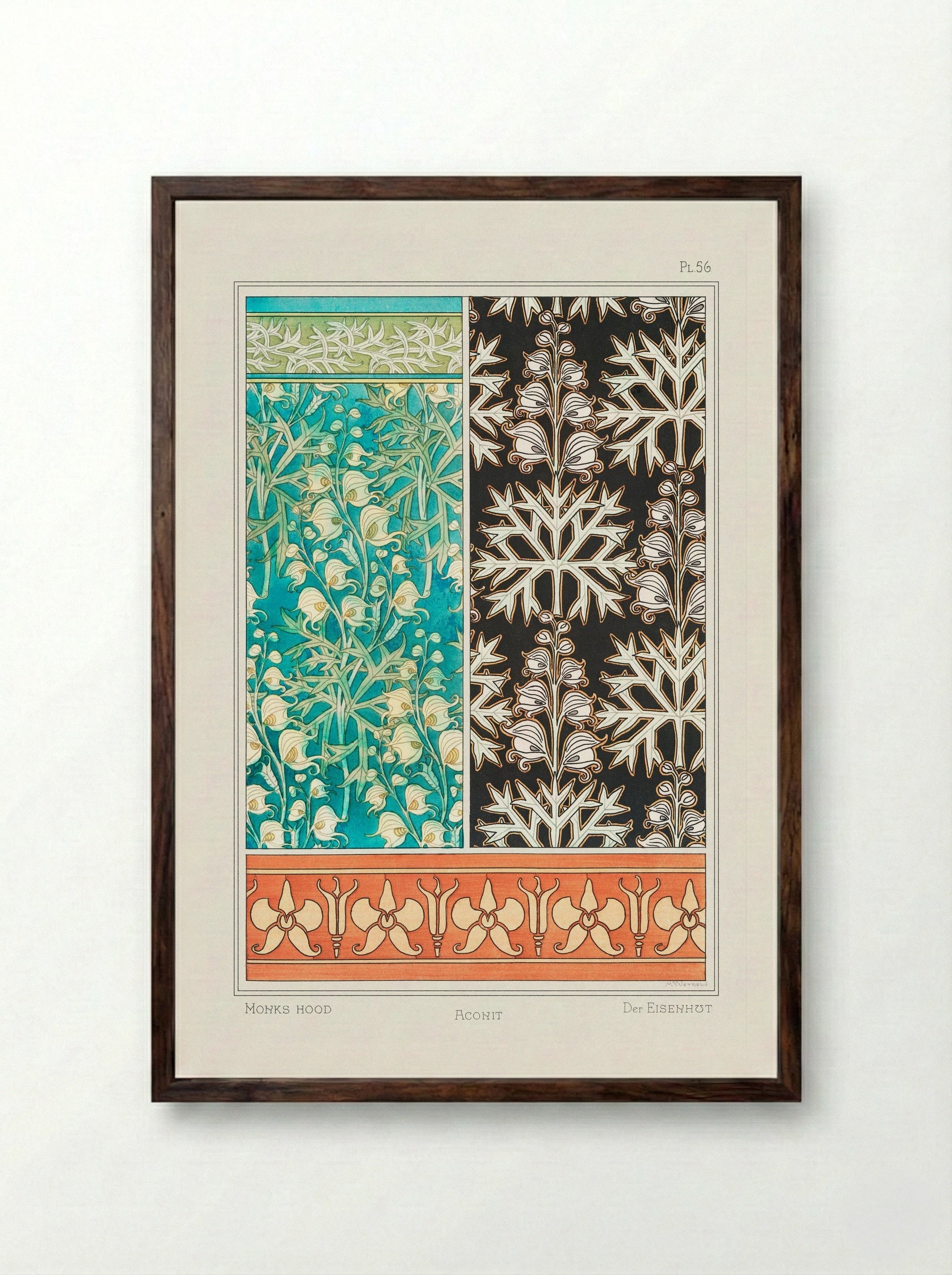 Aconite (Monkshood) from La Plante et ses Applications ornementales - Maurice Pillard Verneuil - Framed Print Dark Wood