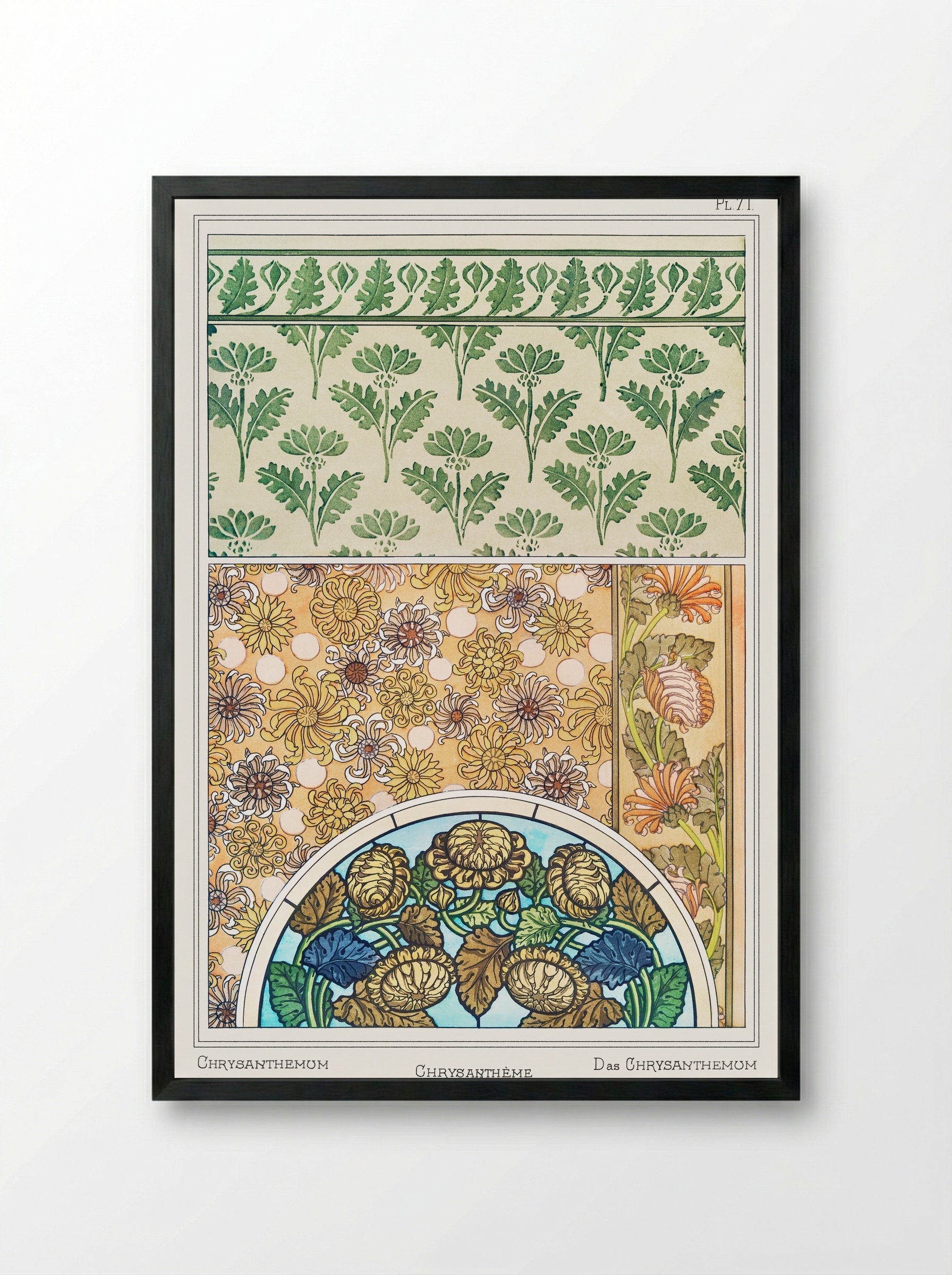Chrysanthème (Chrysanthemum) from La Plante et ses Applications ornementales - Maurice Pillard Verneuil - Framed Print Black