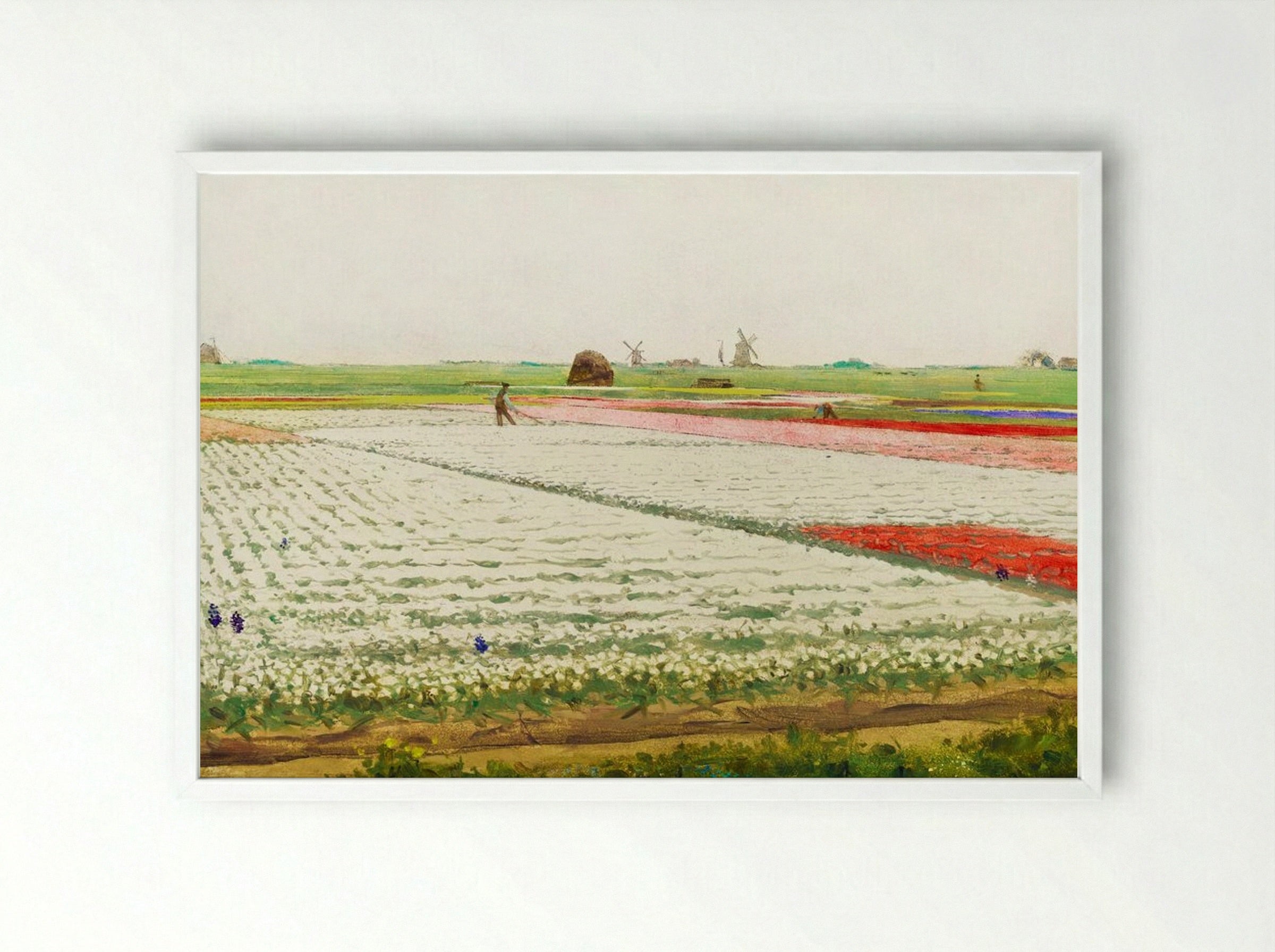 Tulip Fields - Gerrit Willem Dijsselhof - Framed Print White