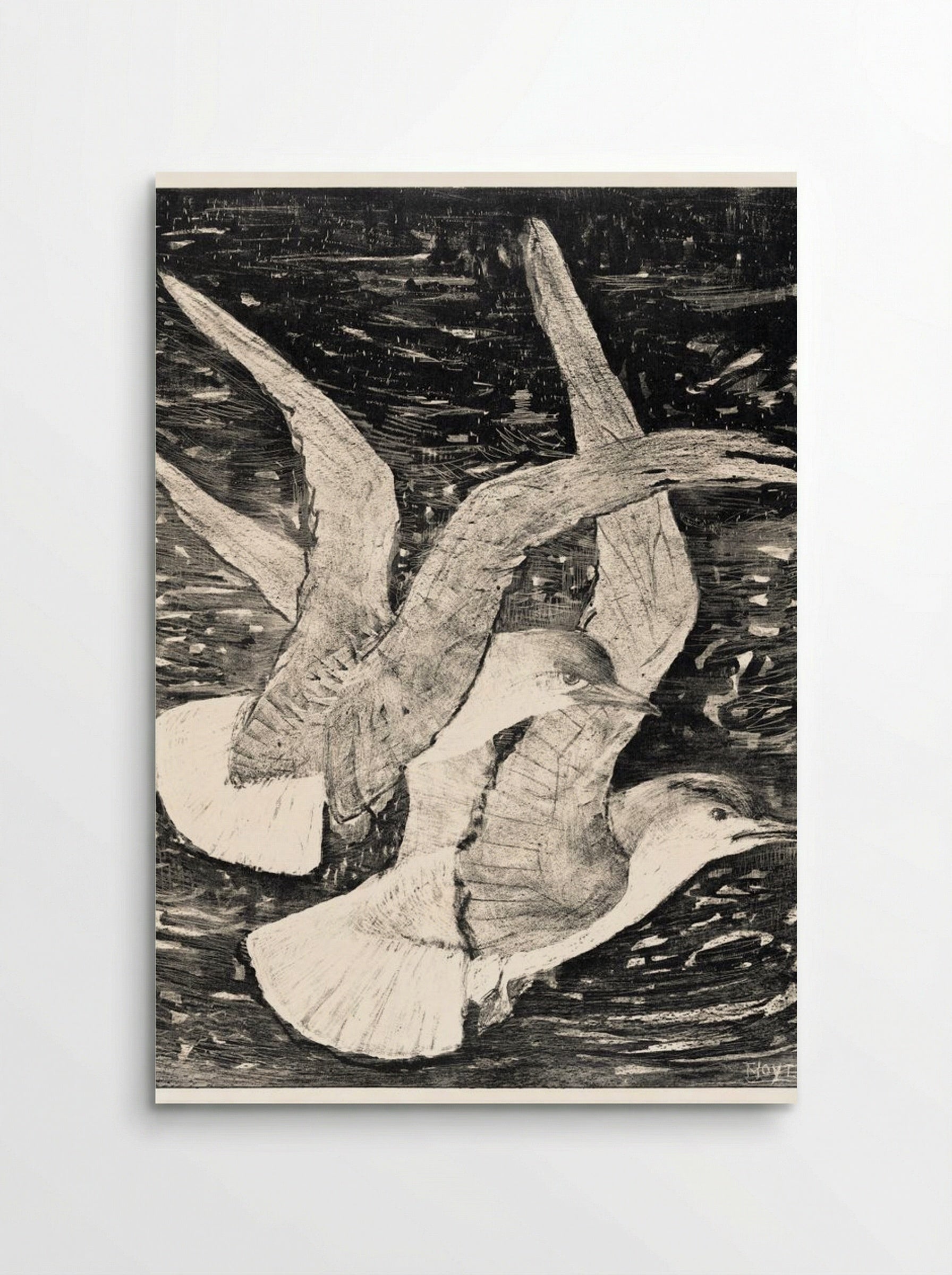 Two Flying Gulls - Theo van Hoytema - Poster