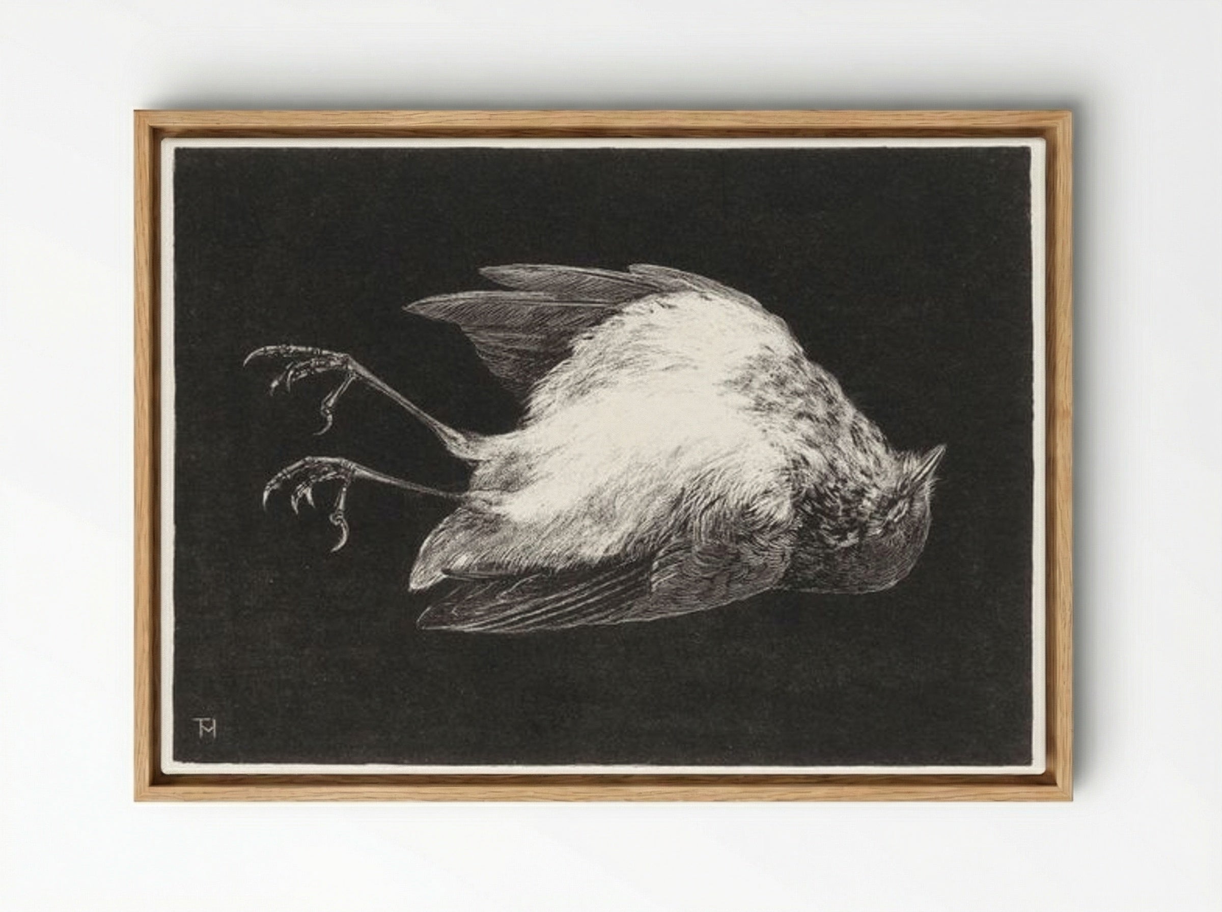 Dood Roodborstje (Dead Robin) - Theo van Hoytema - Framed Canvas Wood