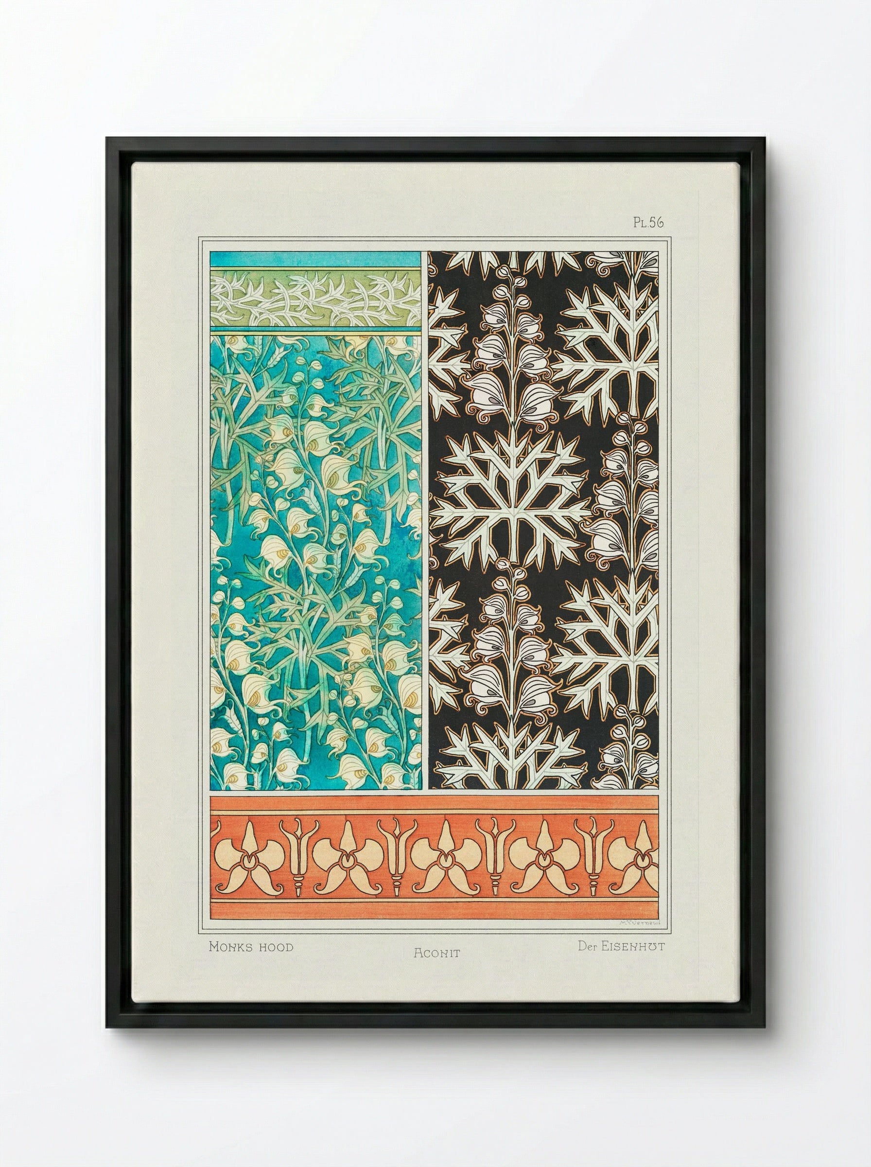 Aconite (Monkshood) from La Plante et ses Applications ornementales - Maurice Pillard Verneuil - Framed Canvas Black