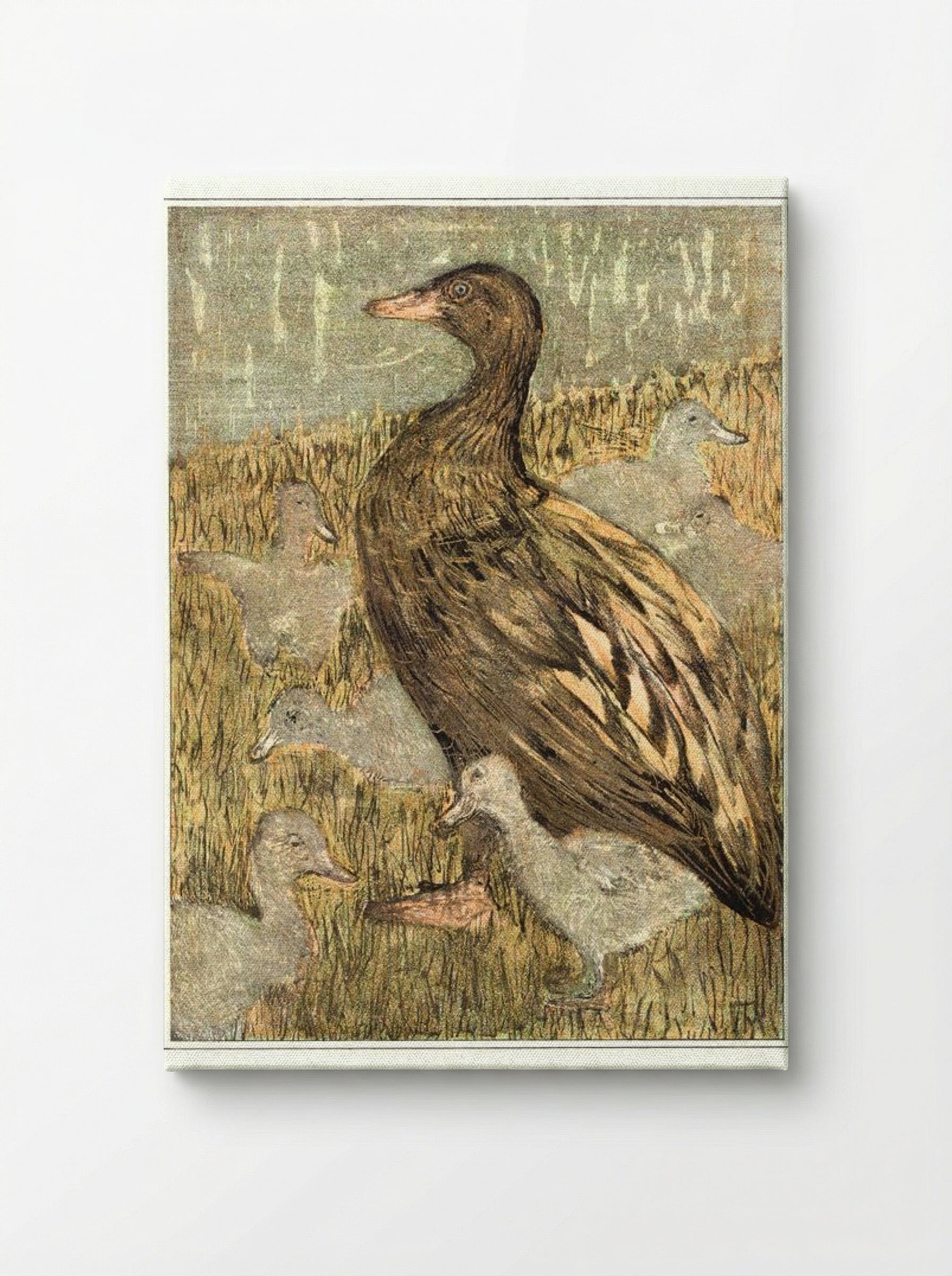 Duck with Ducklings by the Waterside - Theo van Hoytema - Canvas