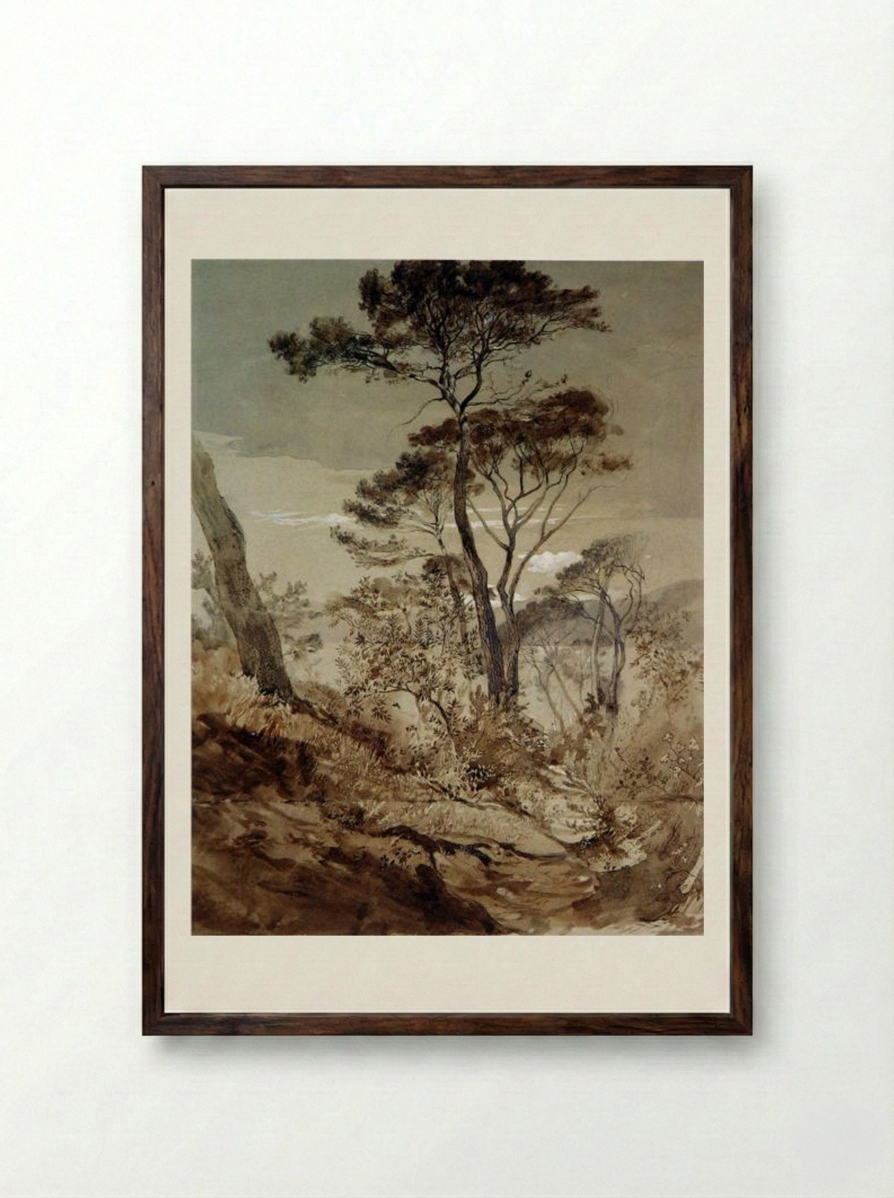 Stone Pines at Sestri - John Ruskin - Framed Print Dark Wood