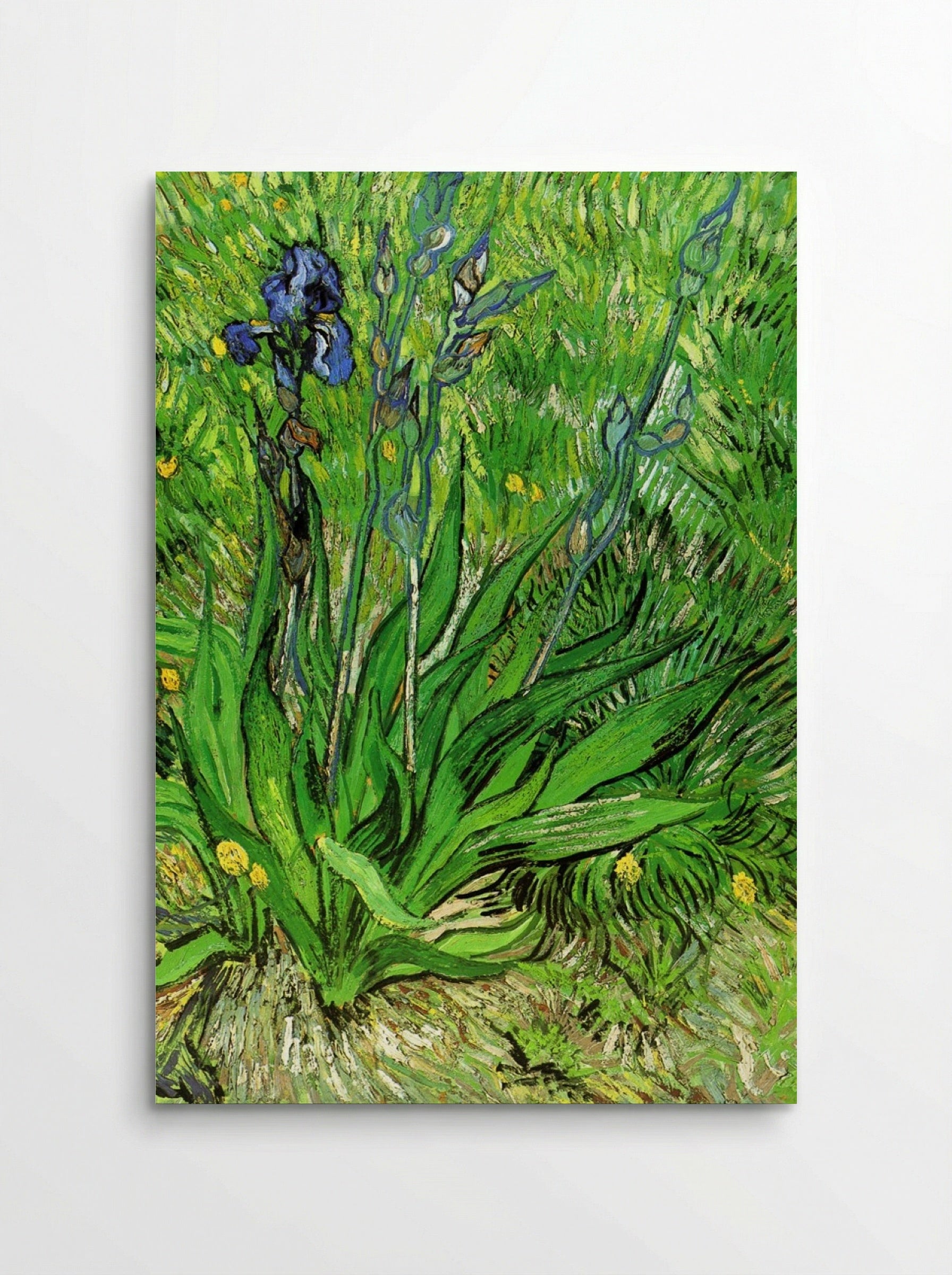 Irises - Vincent van Gogh - Poster