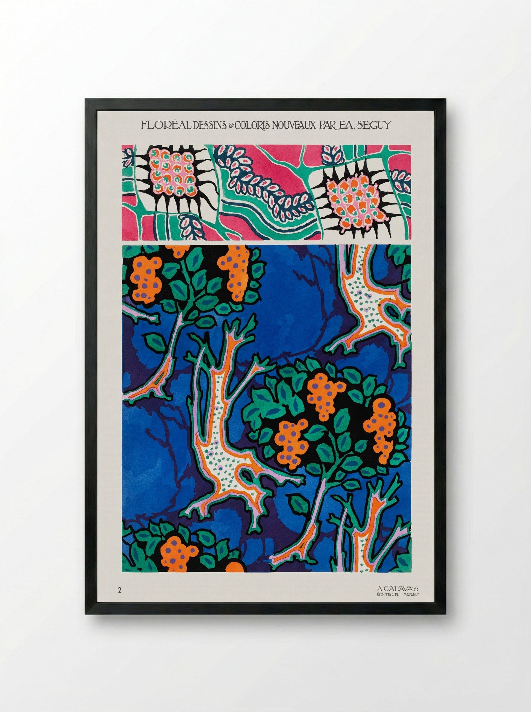 Floral Designs and Colour Schemes (Plate 4) - Émile-Allain Séguy - Framed Print Black