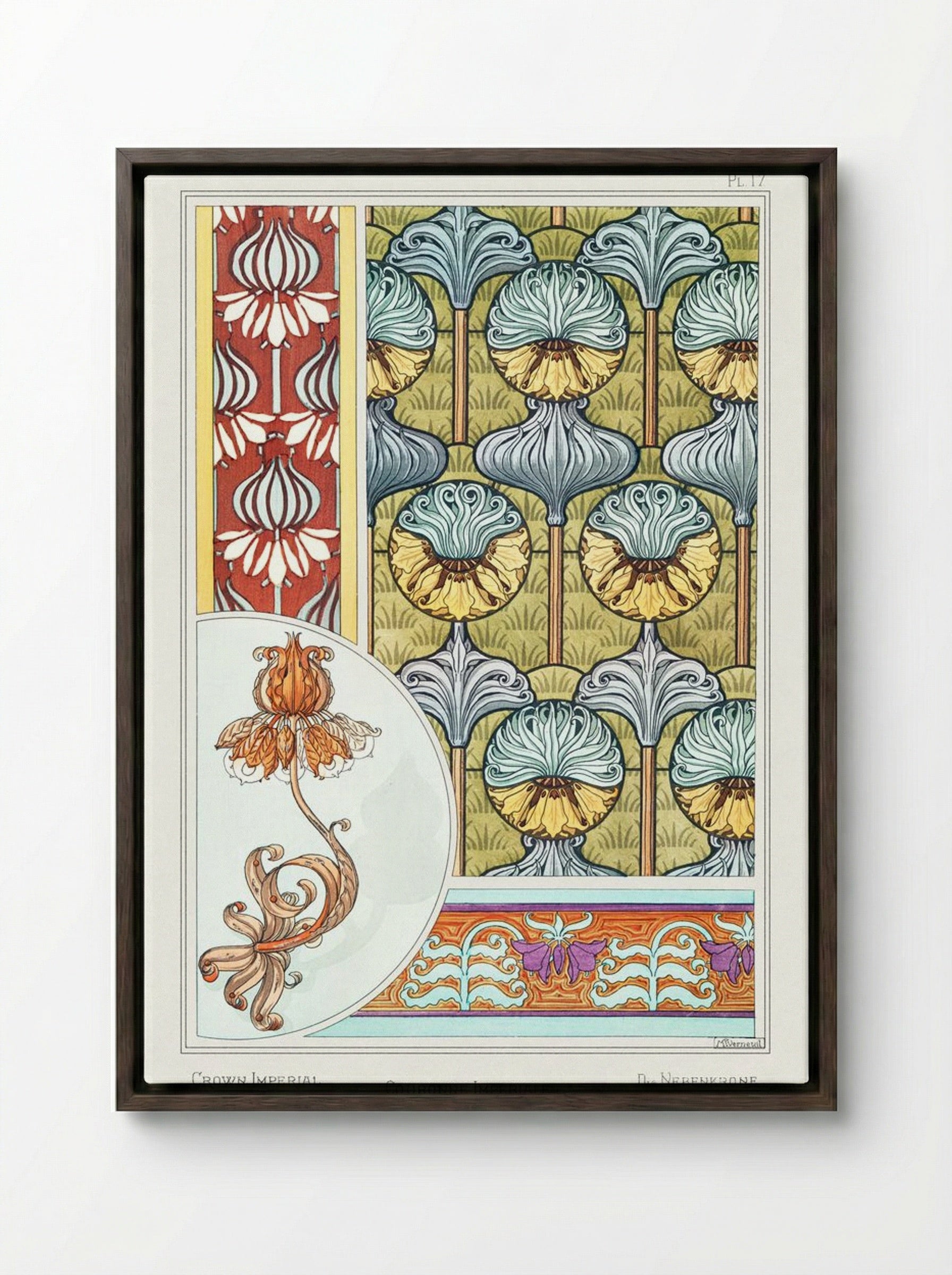Couronne Impériale (Crown Imperial) from La Plante et ses Applications ornementales - Maurice Pillard Verneuil - Framed Canvas Dark Wood