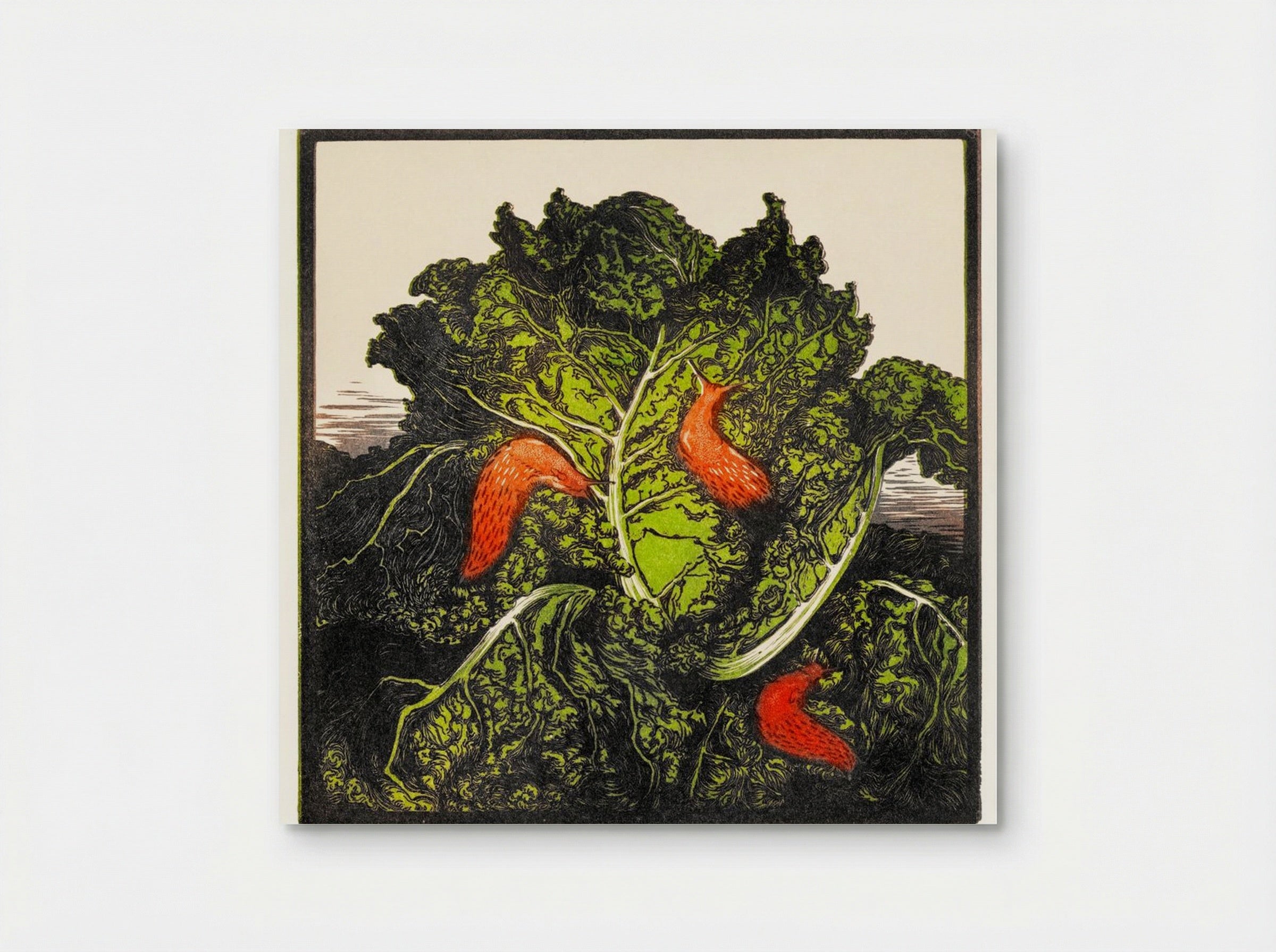 Three Slugs on a Cabbage - Julie de Graag - Poster