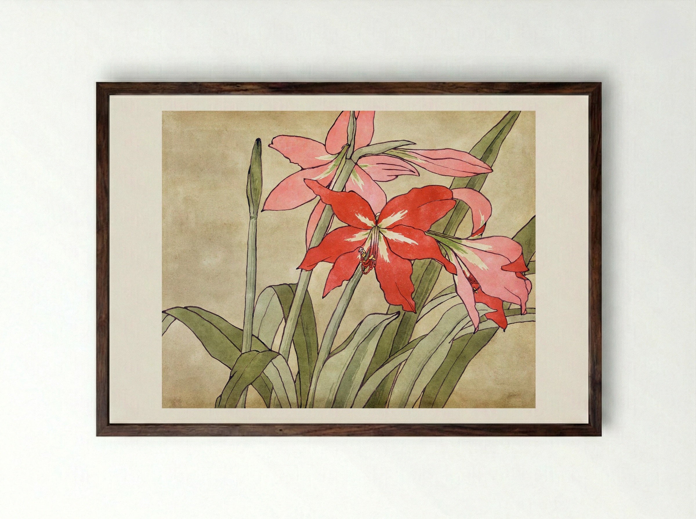 Amaryllis (1915) - Hannah Borger Overbeck - Framed Print Dark Wood