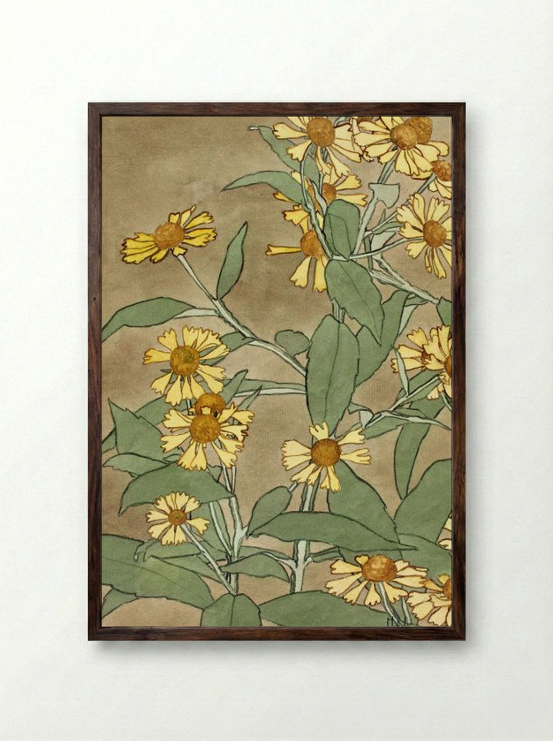 Daisies with Orange Center and Yellow Petals - Hannah Borger Overbeck - Framed Print Dark Wood