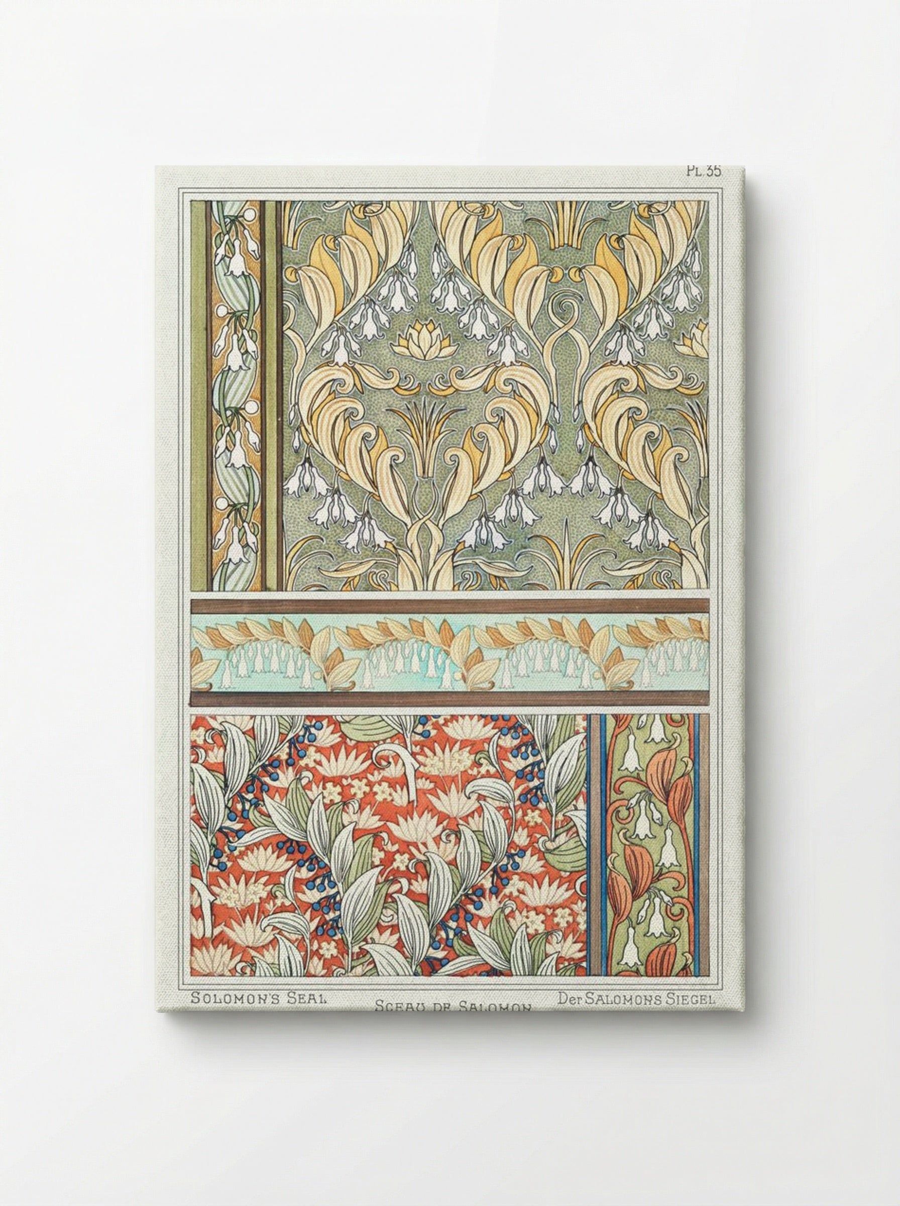 Sceau de Salomon (Solomon's Seal) from La Plante et ses Applications ornementales - Maurice Pillard Verneuil - Canvas