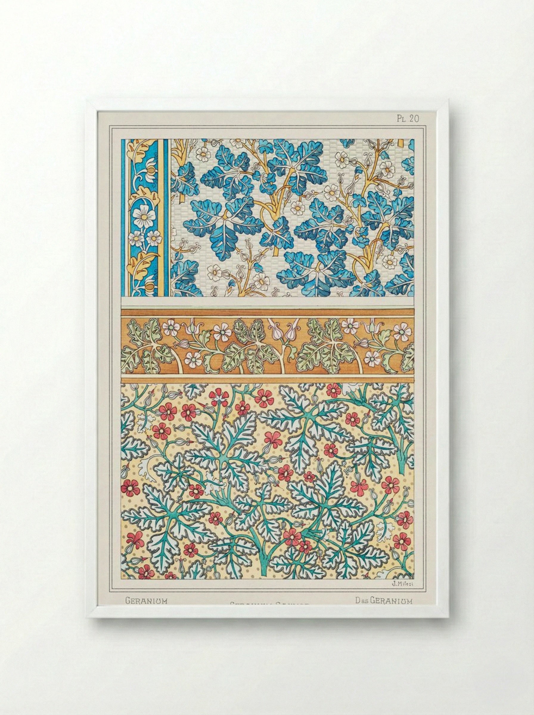 Geranium sauvage (Geranium, Plate 20) - Maurice Pillard Verneuil - Framed Print White