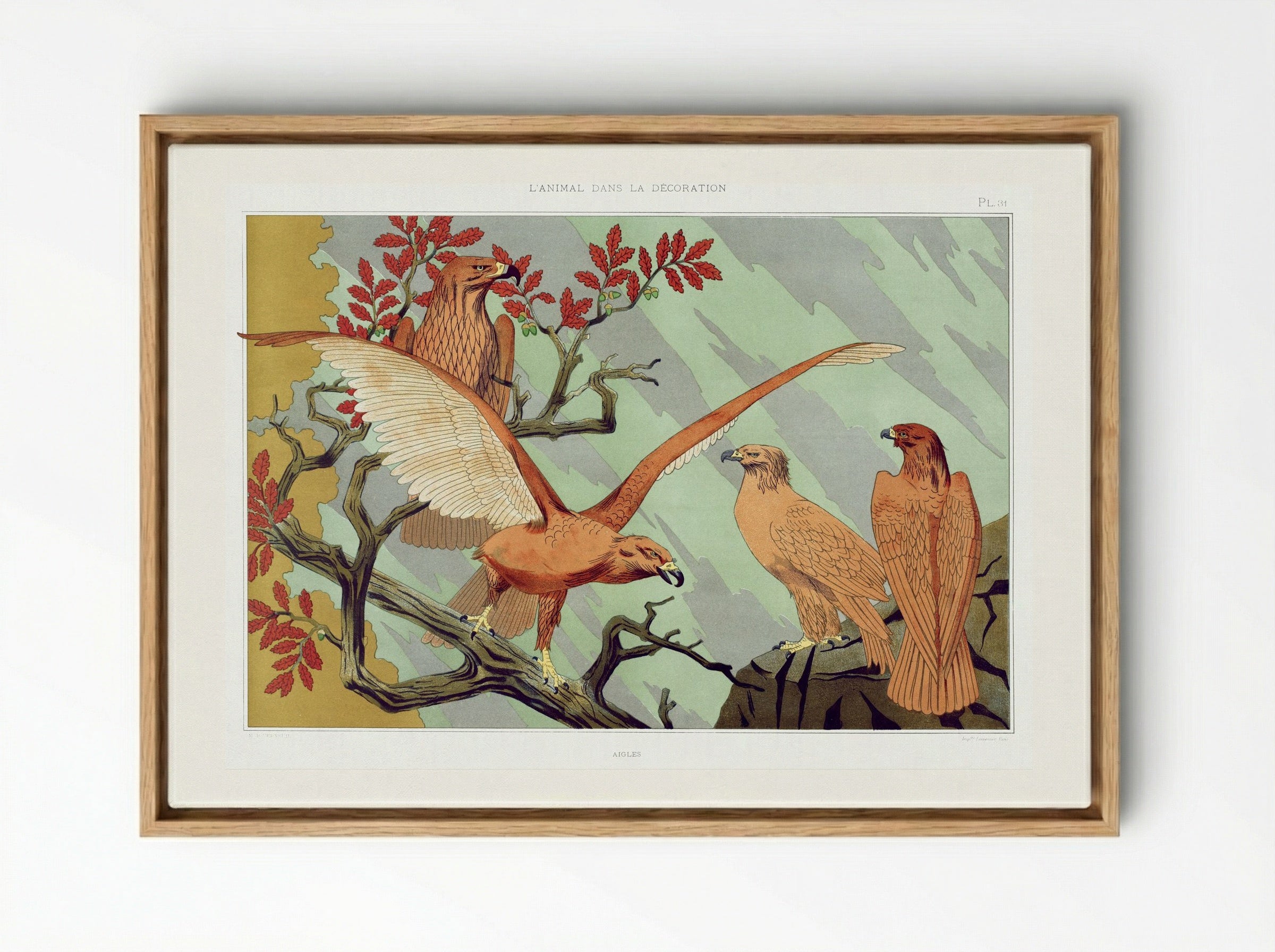 Aigles (Eagles) from L'animal dans la décoration - Maurice Pillard Verneuil - Framed Canvas Wood