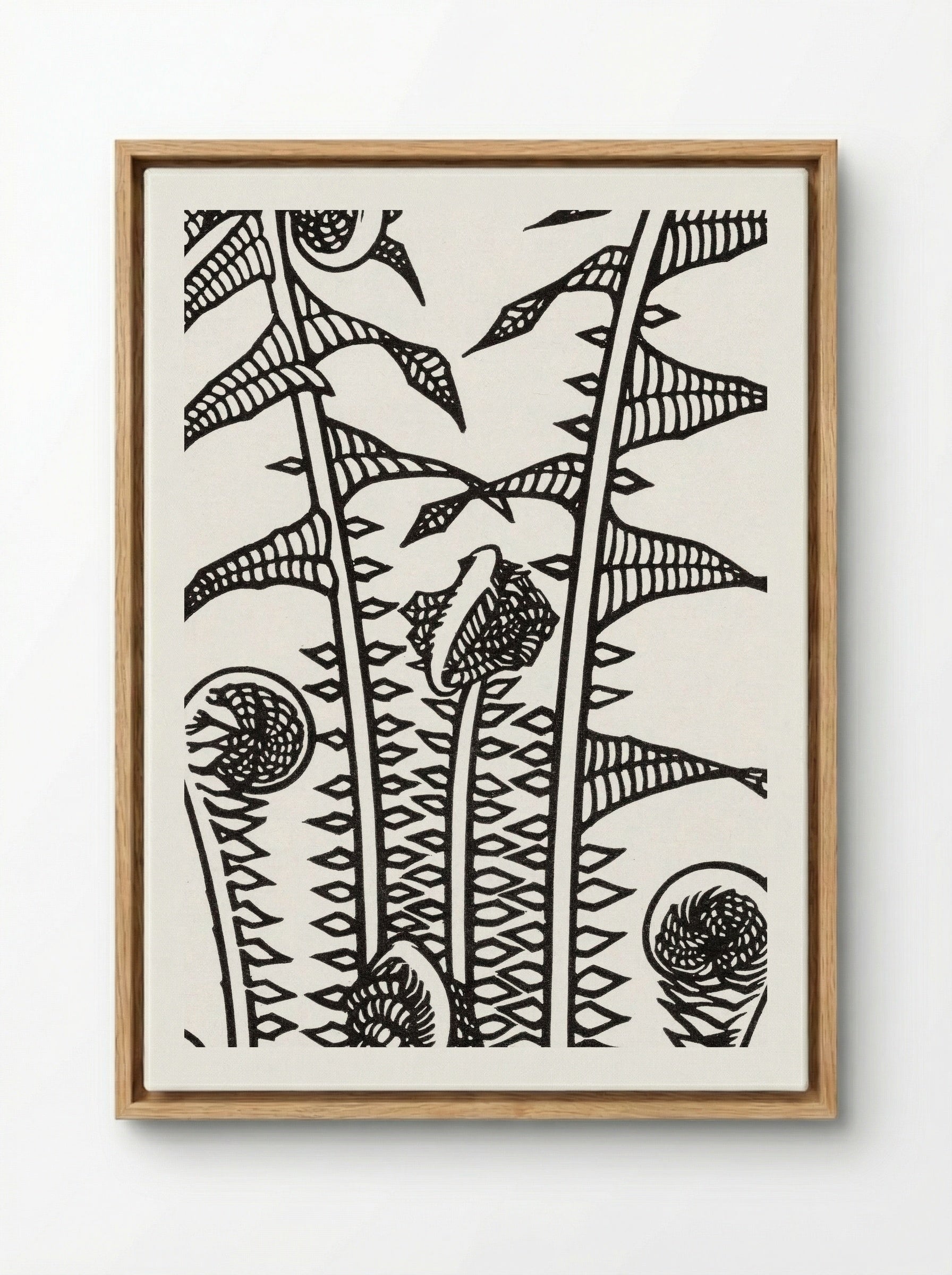 Ferns - Julie de Graag - Framed Canvas Wood