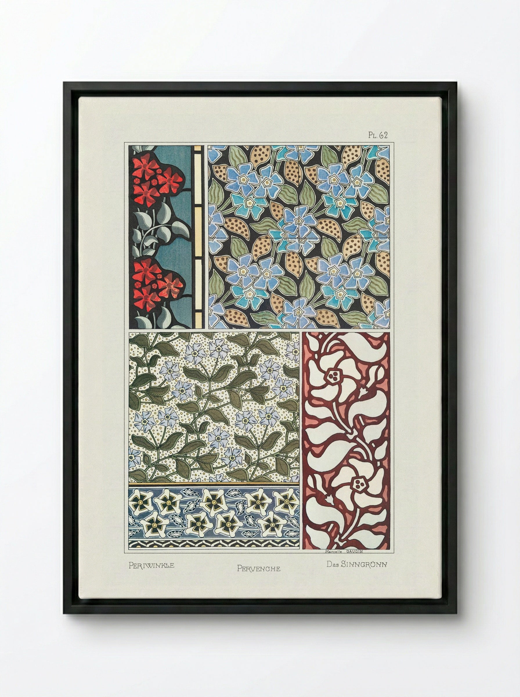 Pervenche (Periwinkle) from La Plante et ses Applications ornementales - Maurice Pillard Verneuil - Framed Canvas Black
