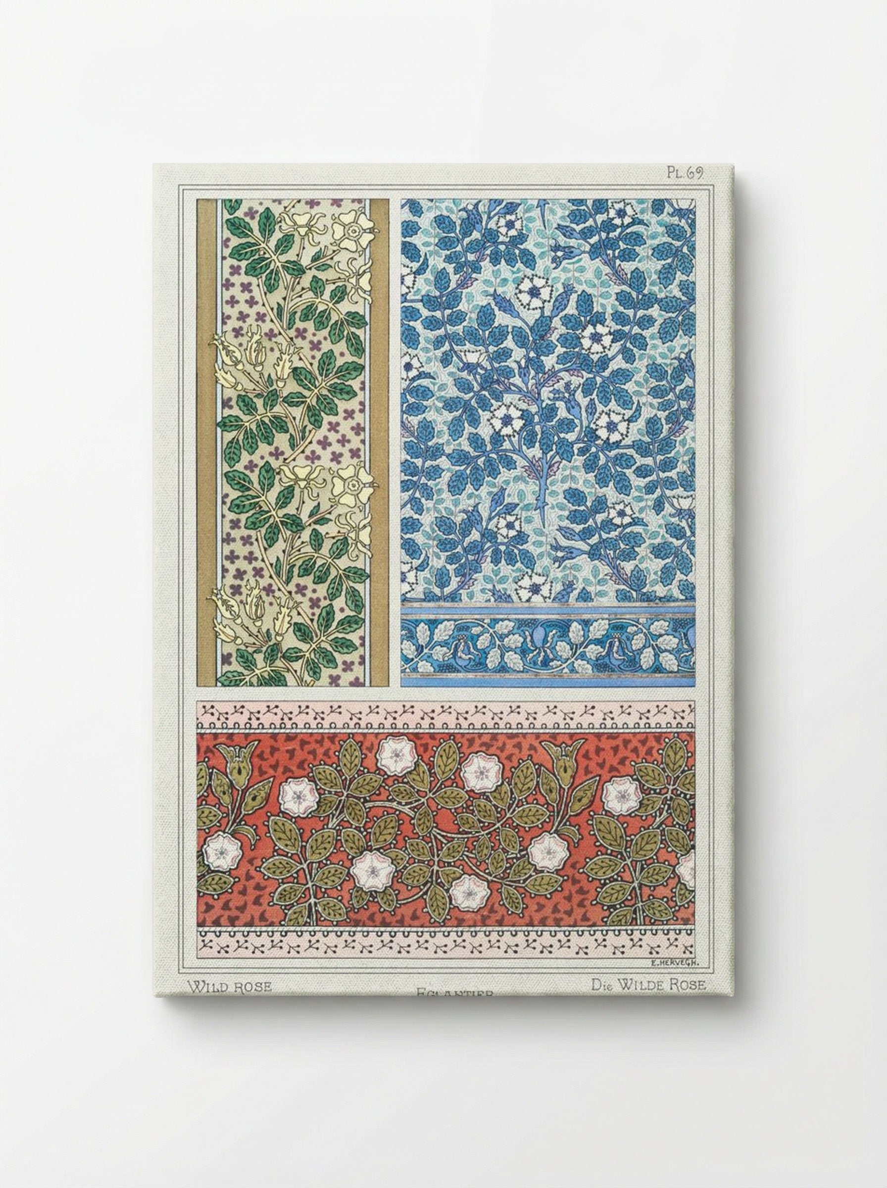 Eglantier (Wild Rose) from La Plante et ses Applications ornementales - Maurice Pillard Verneuil - Canvas