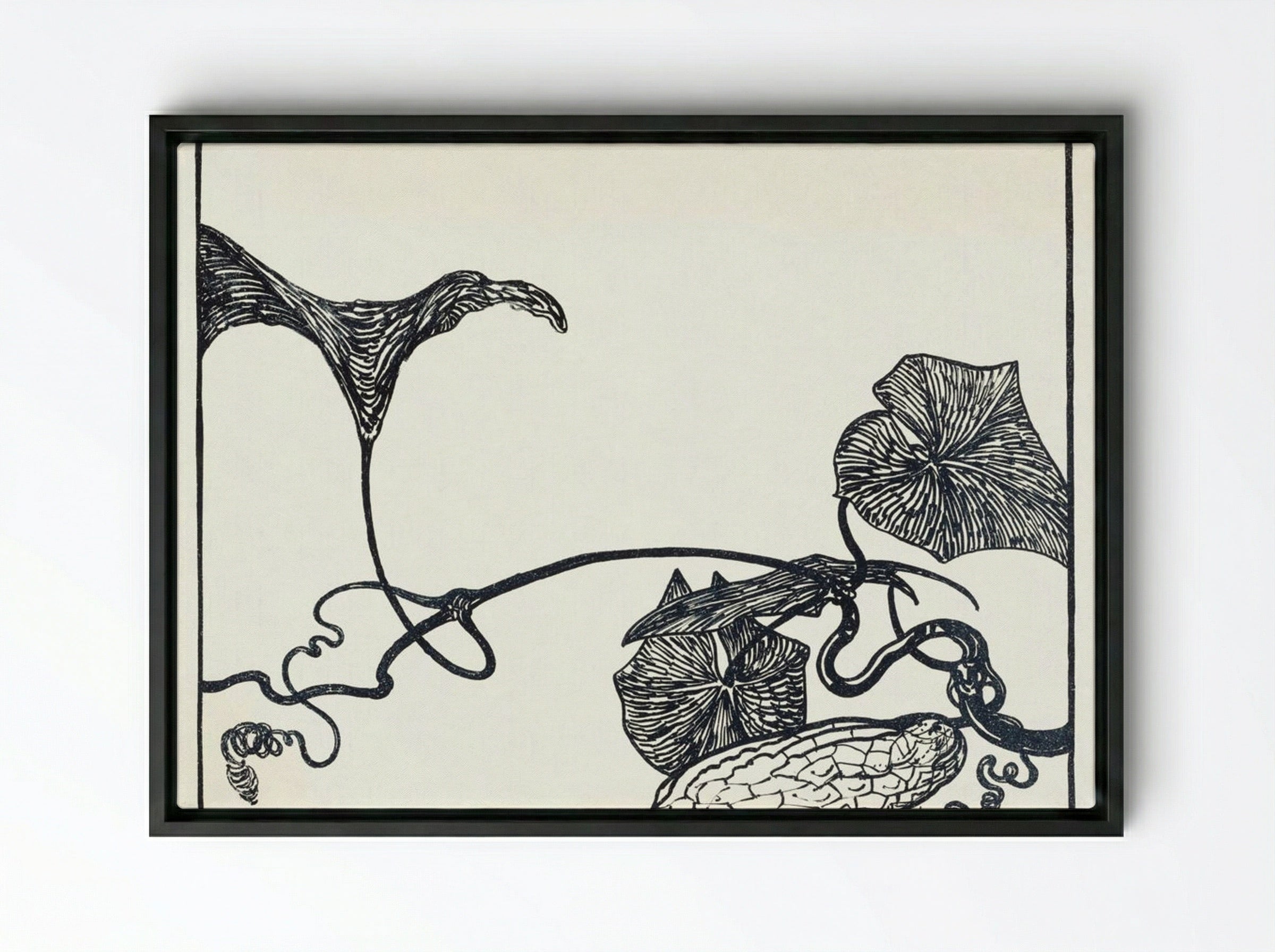 Augurkenplant (Cucumber Plant) - Theo van Hoytema - Framed Canvas Black