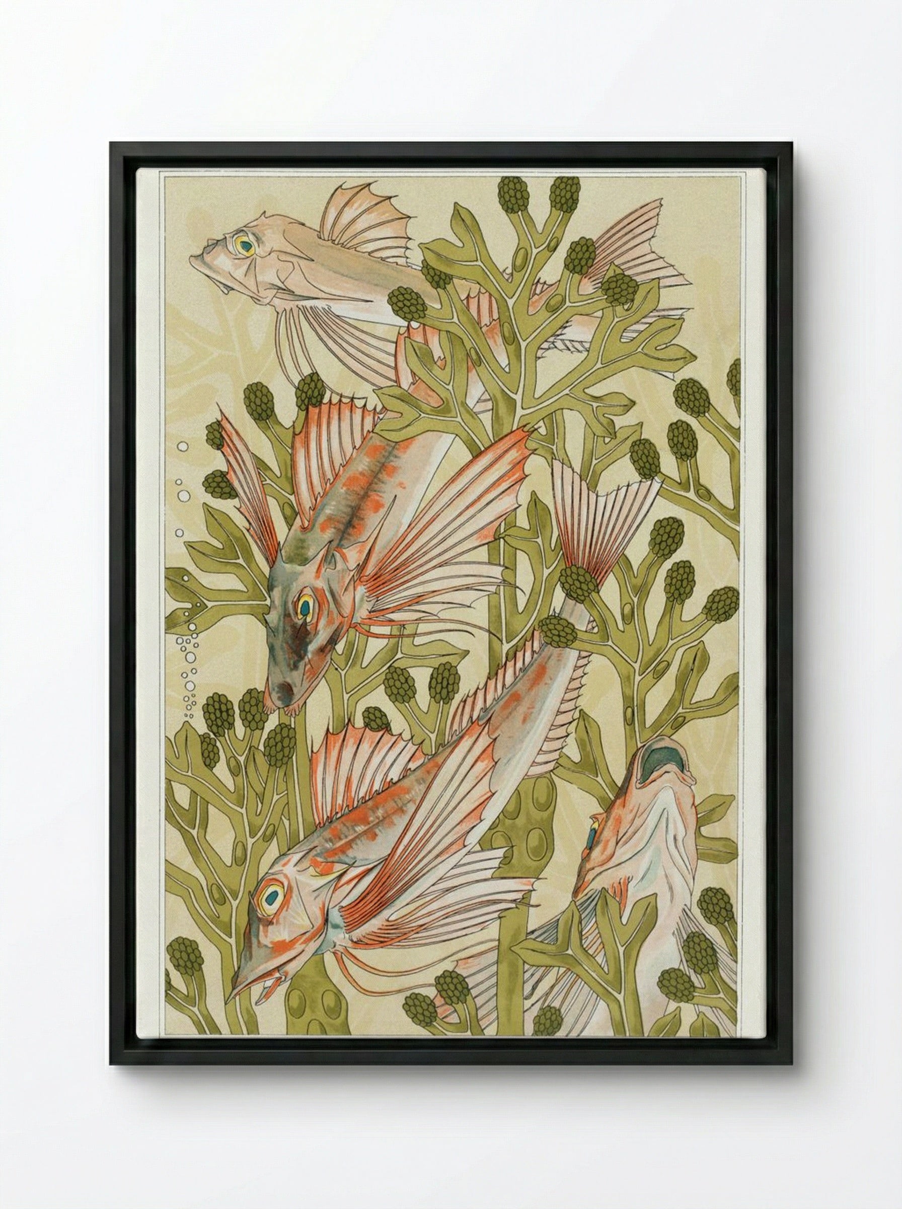 Rouget (From L'animal dans la décoration) - Maurice Pillard Verneuil - Framed Canvas Black