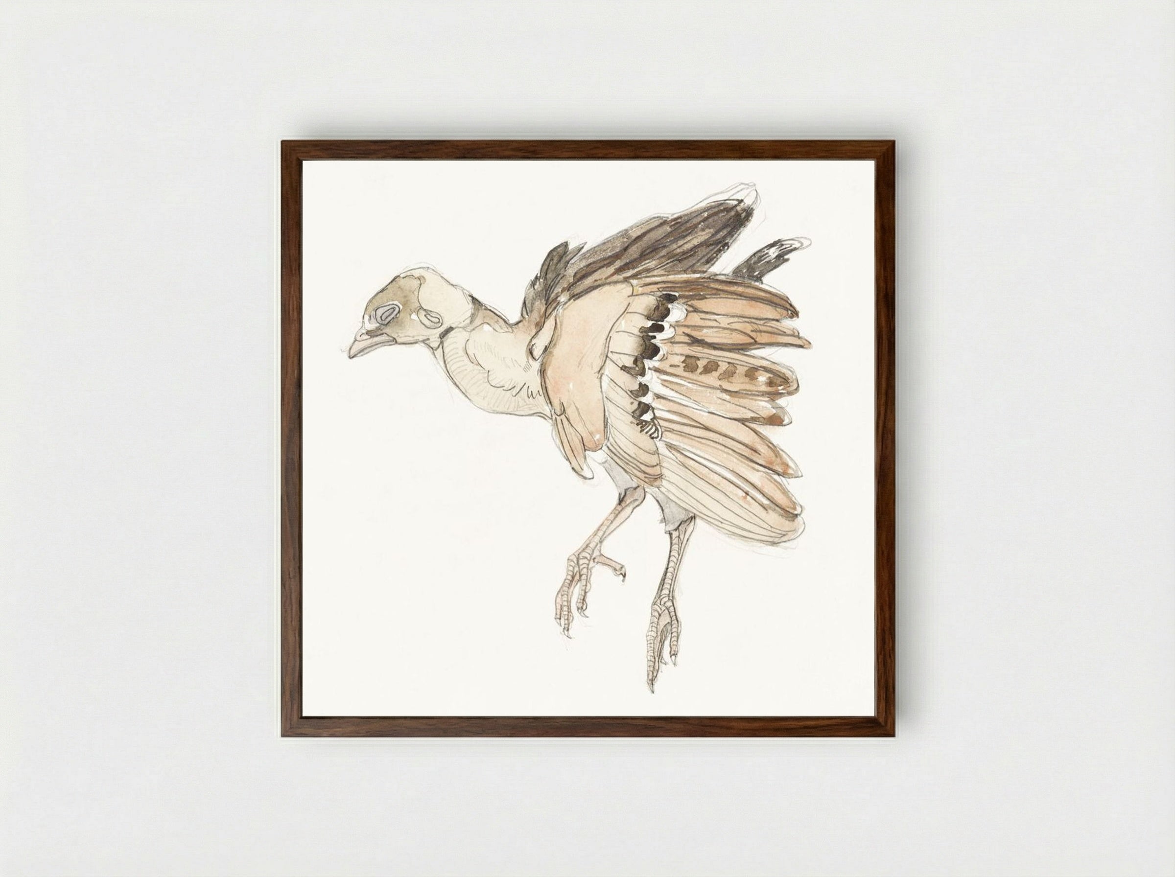 Dood vogeltje (Patrijs) - Theo van Hoytema - Framed Print Dark Wood