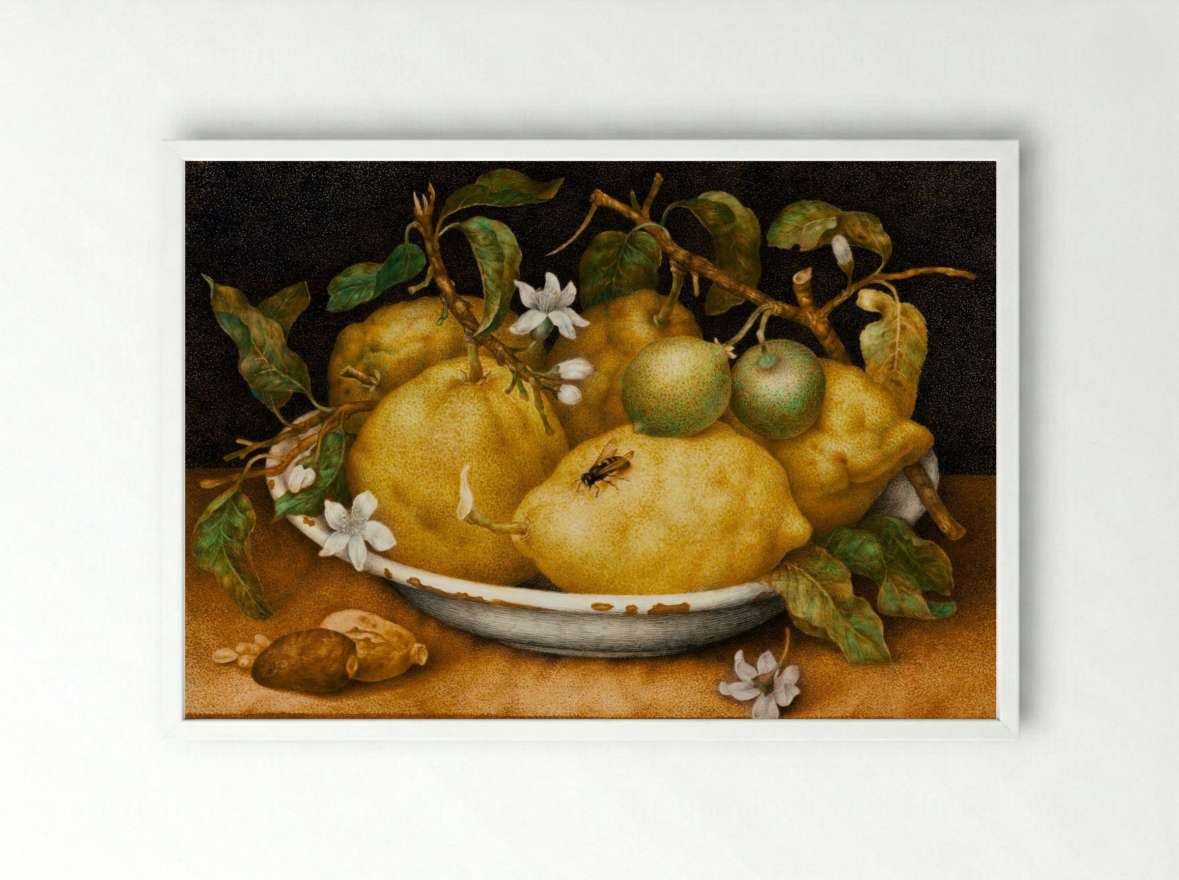 Still Life with Bowl of Citrons - Giovanna Garzoni - Framed Print White