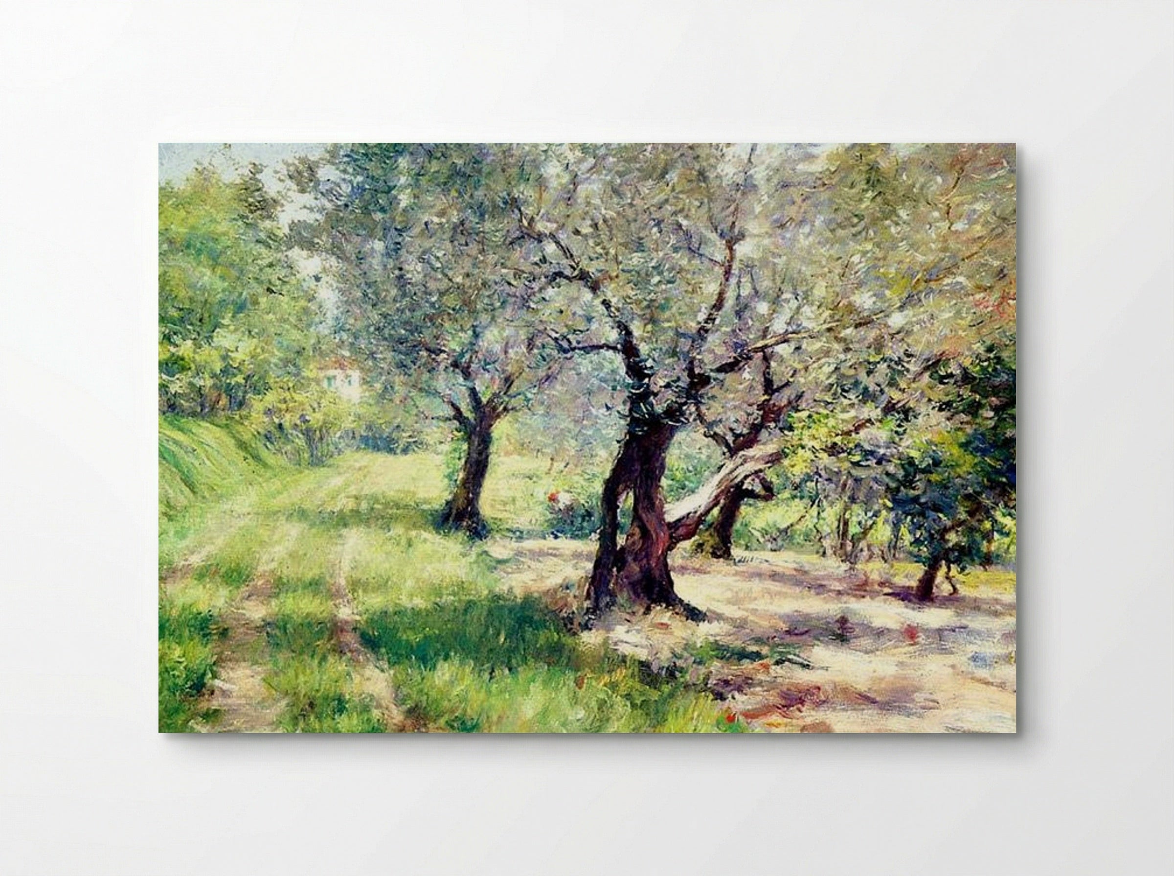 The Olive Grove - William Merritt Chase - Poster
